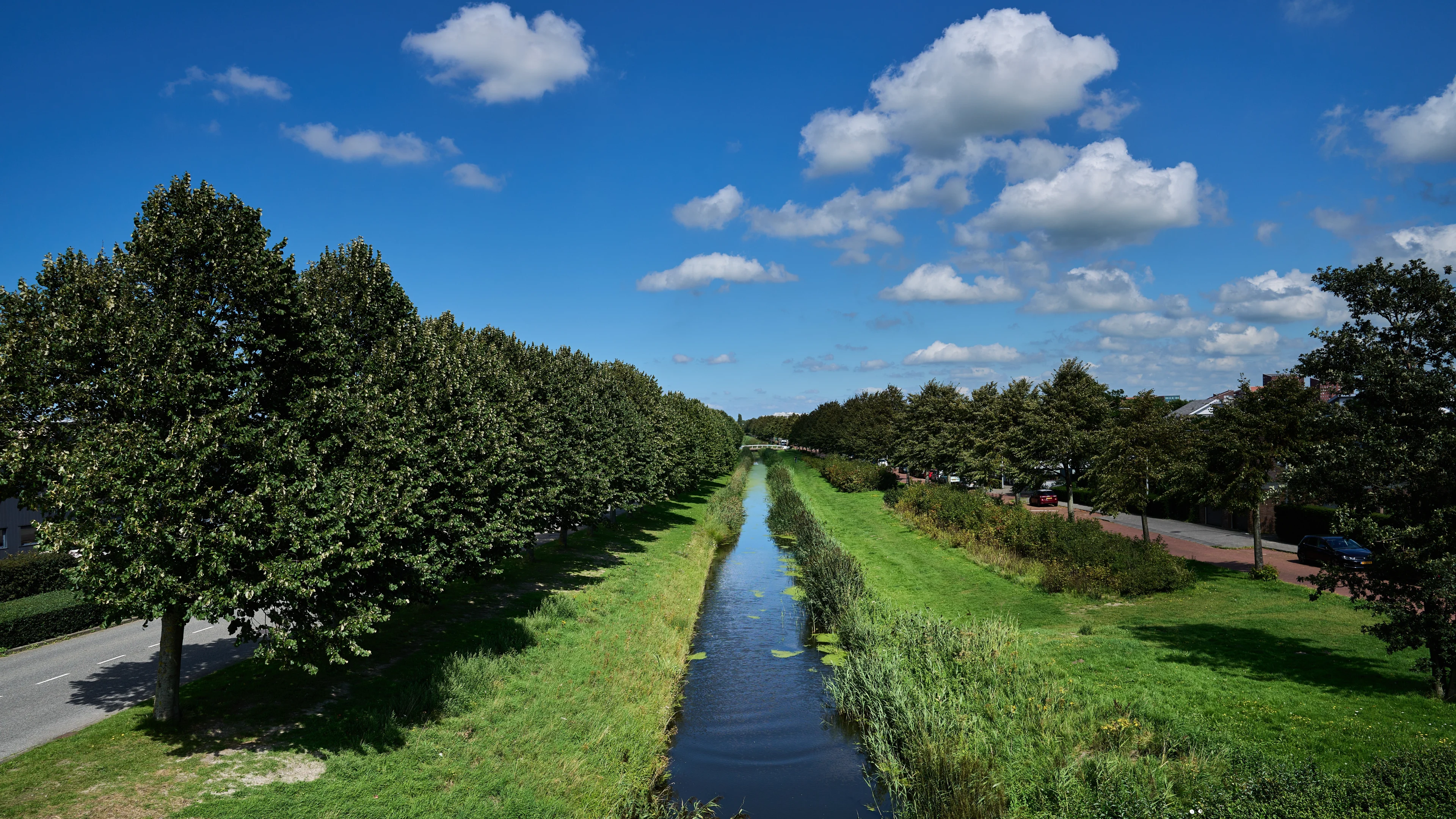 Waterschap slaat alarm: antivlooienmiddel vervuilt water bij Noordwijk