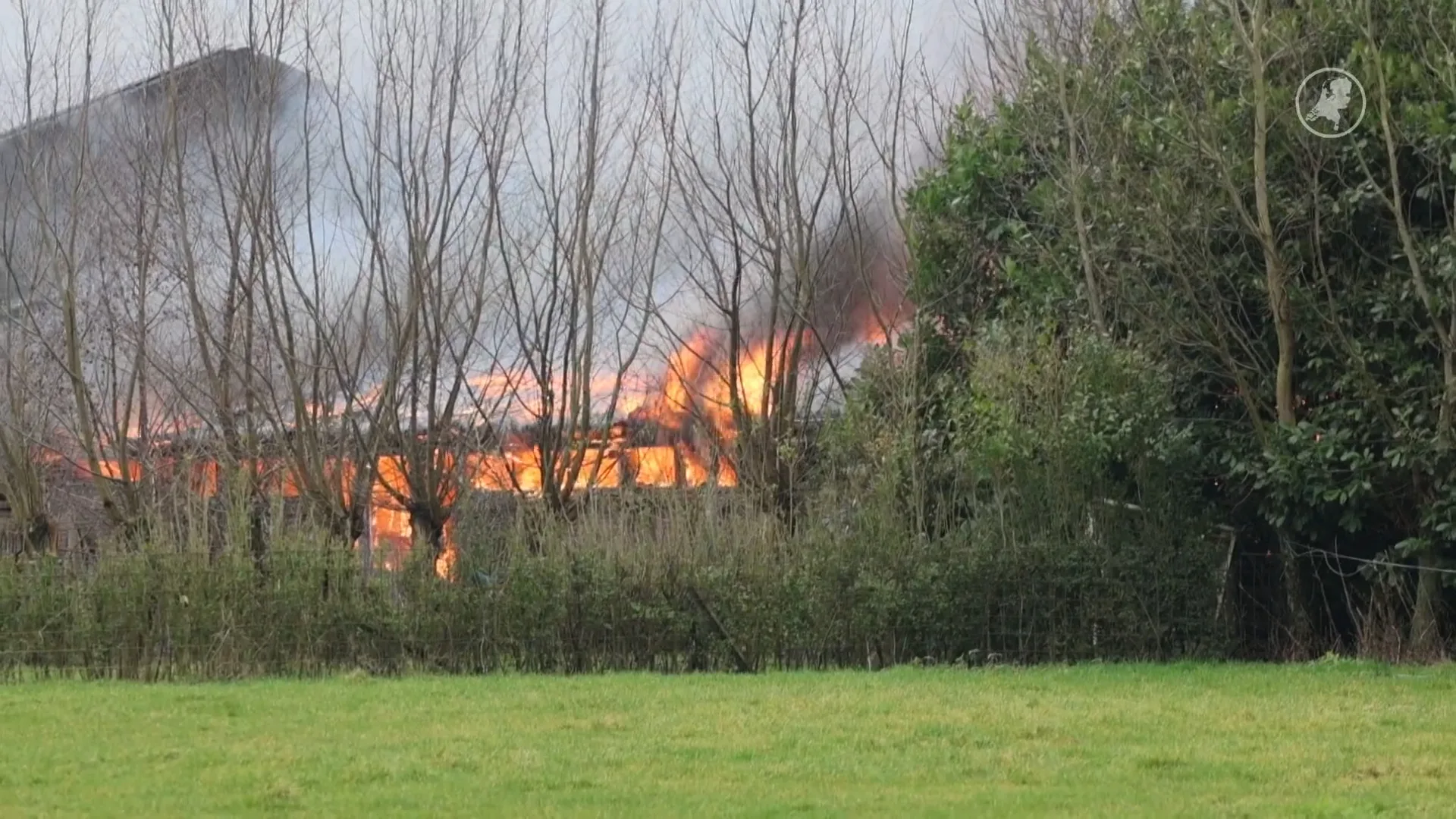 Eén koe overleeft grote stalbrand Kockengen
