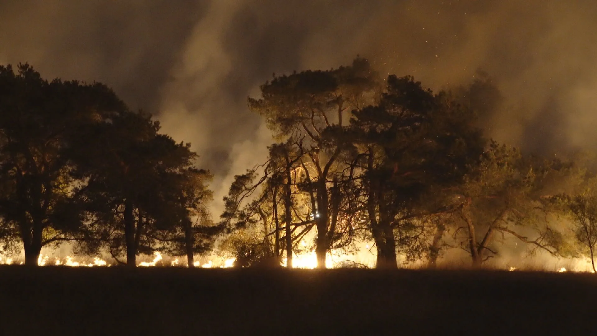 Zeer grote brand in natuurgebied Paaskamp bij Assen