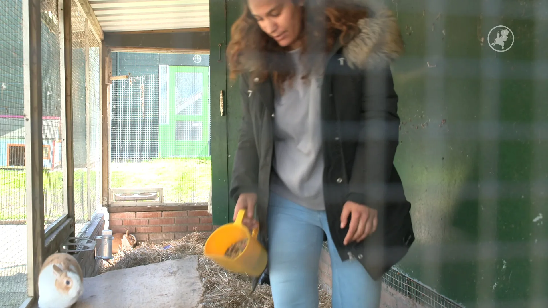 Conflict tussen zorgboerderij in Arnhem en de gemeente