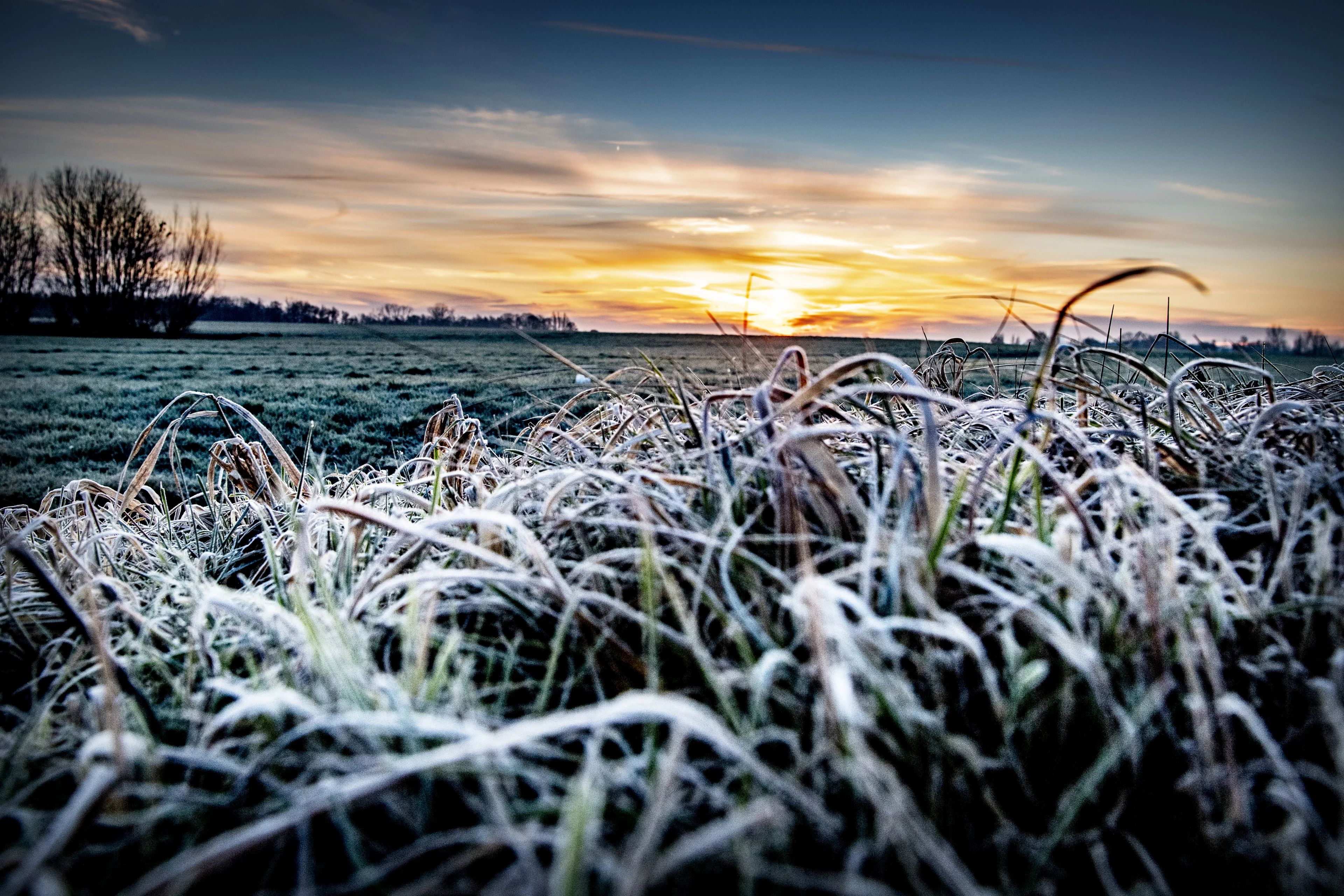 Eerste lokale grondvorst van het seizoen gemeten, 'bijna recordvroeg'