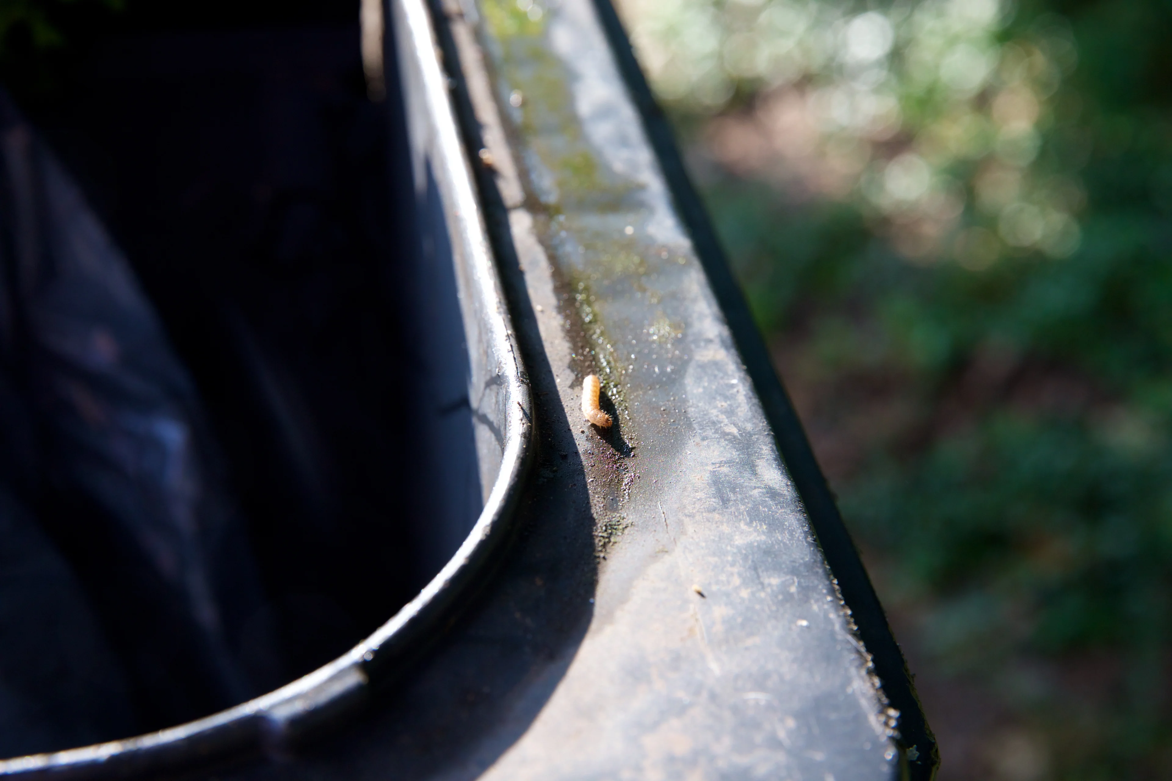 Zo voorkom je stank en ongedierte in je gft-bak