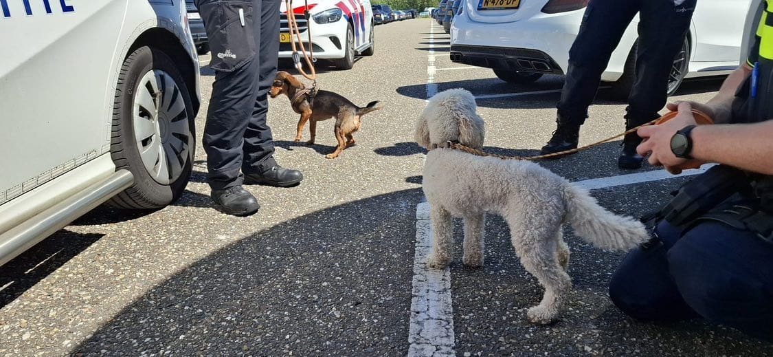Politie bevrijdt twee hondjes uit snikhete campers bij Efteling, baasjes in pretpark