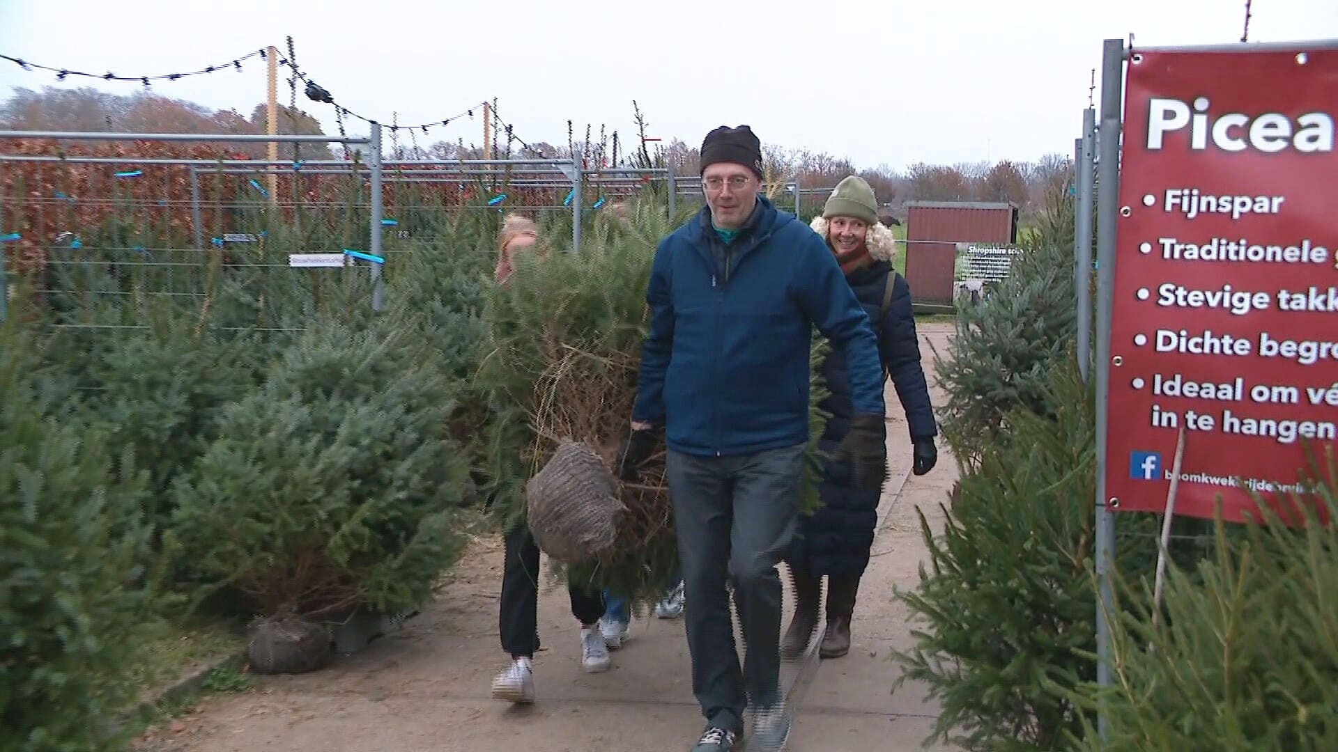 Hoort de kerstboom inmiddels bij pakjesavond? 'Mensen halen hem steeds vroeger'