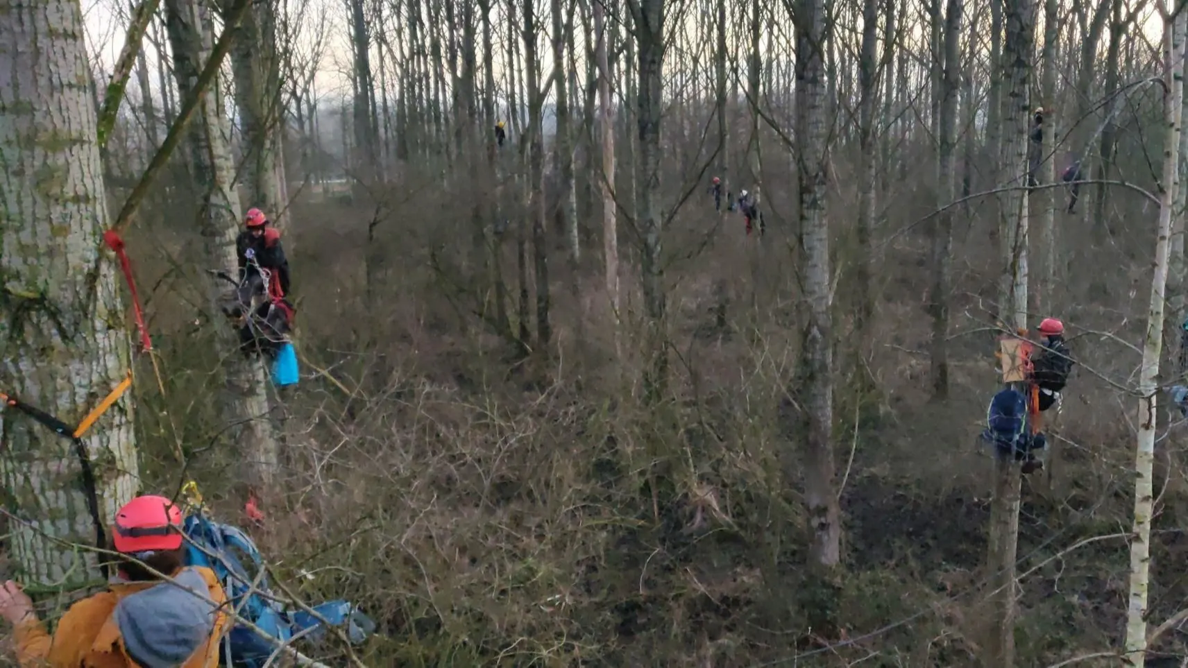 Eerste actievoerders opgepakt bij bezetting Sterrebos uit protest tegen geplande kap