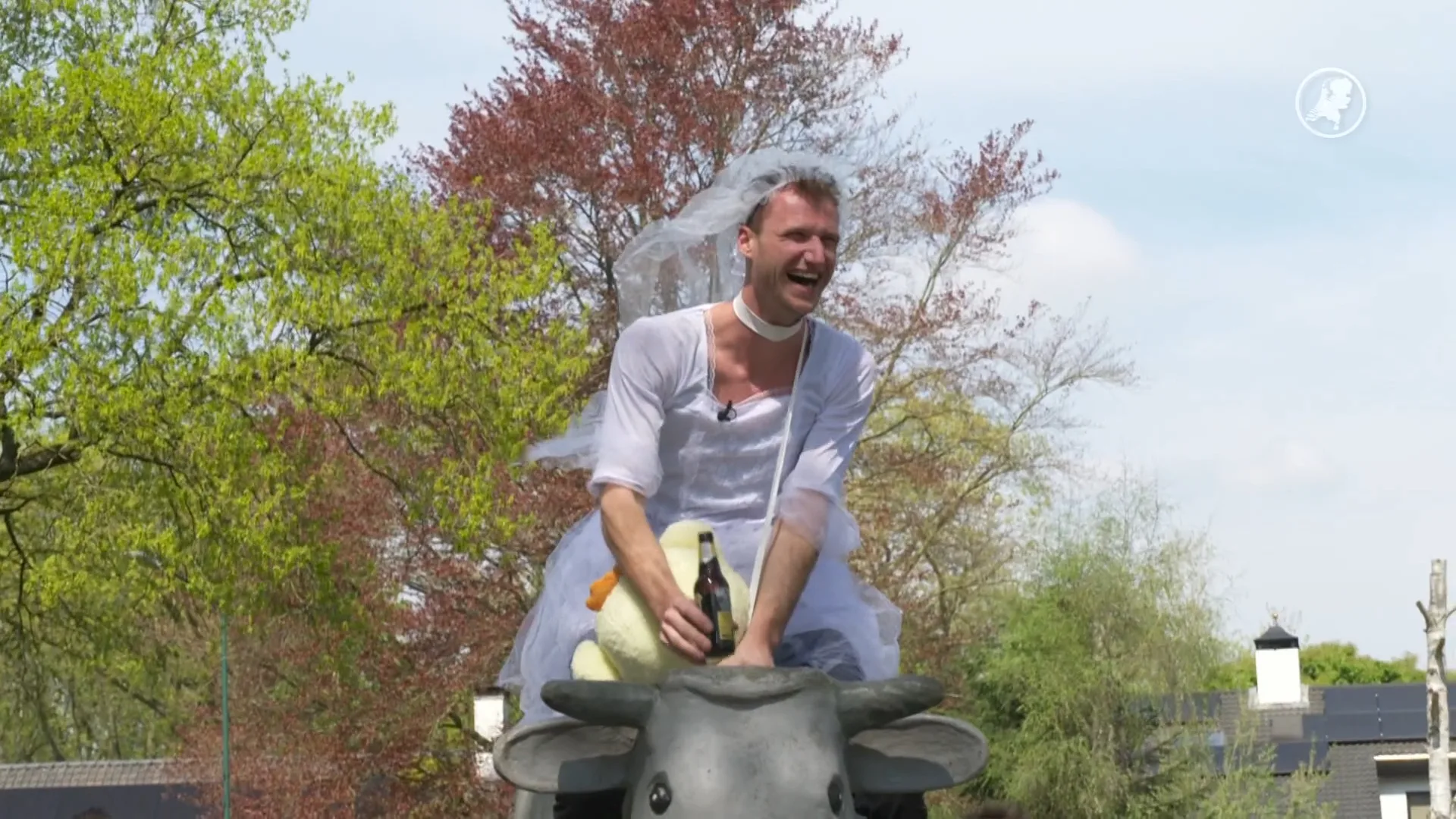 30 en vrijgezel? Dan krijg je in Brabant en Limburg een Ossenfeest!