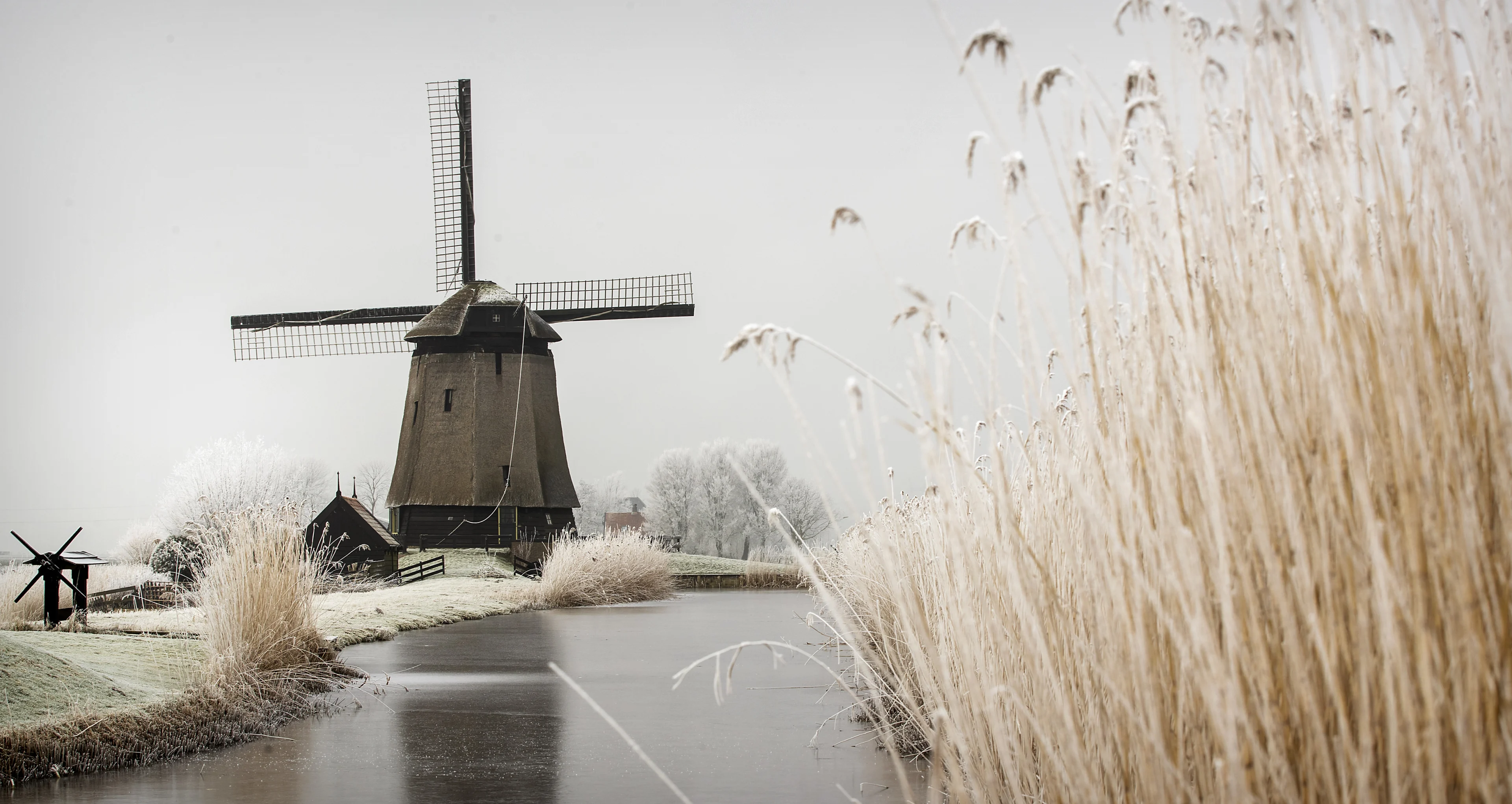 We hebben er lang op moeten wachten, maar het heeft gesneeuwd!