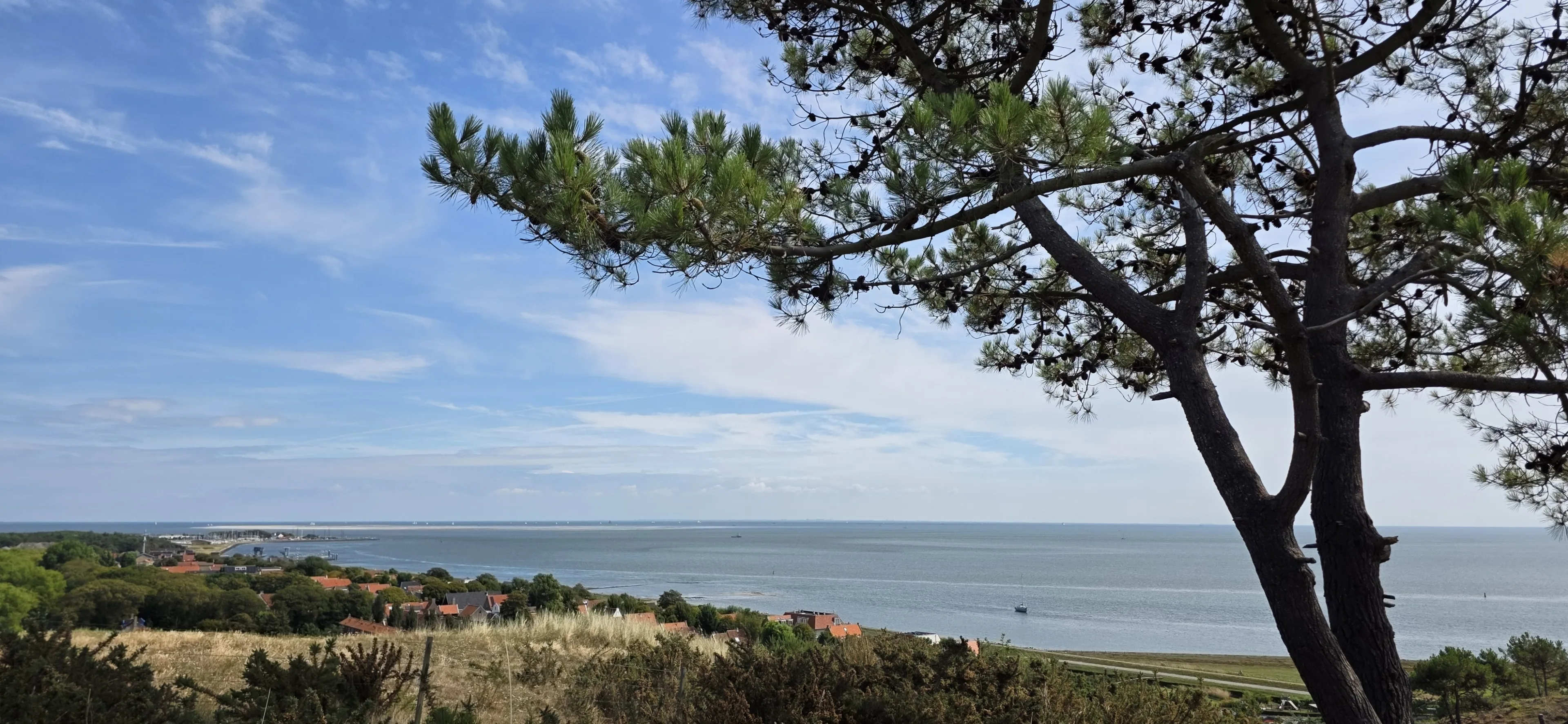 Eerst zomers warm, dan regen en wind: zo verandert het weer deze week