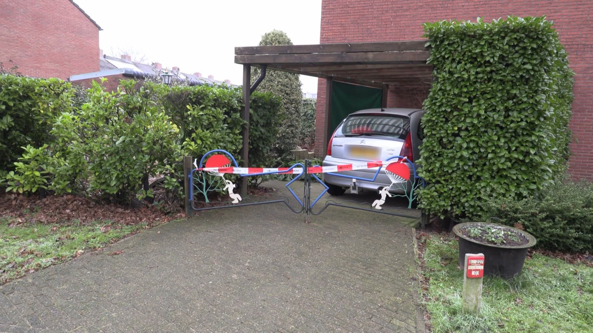 Bewoner Hengelo vindt wolf in schuurtje, midden in woonwijk