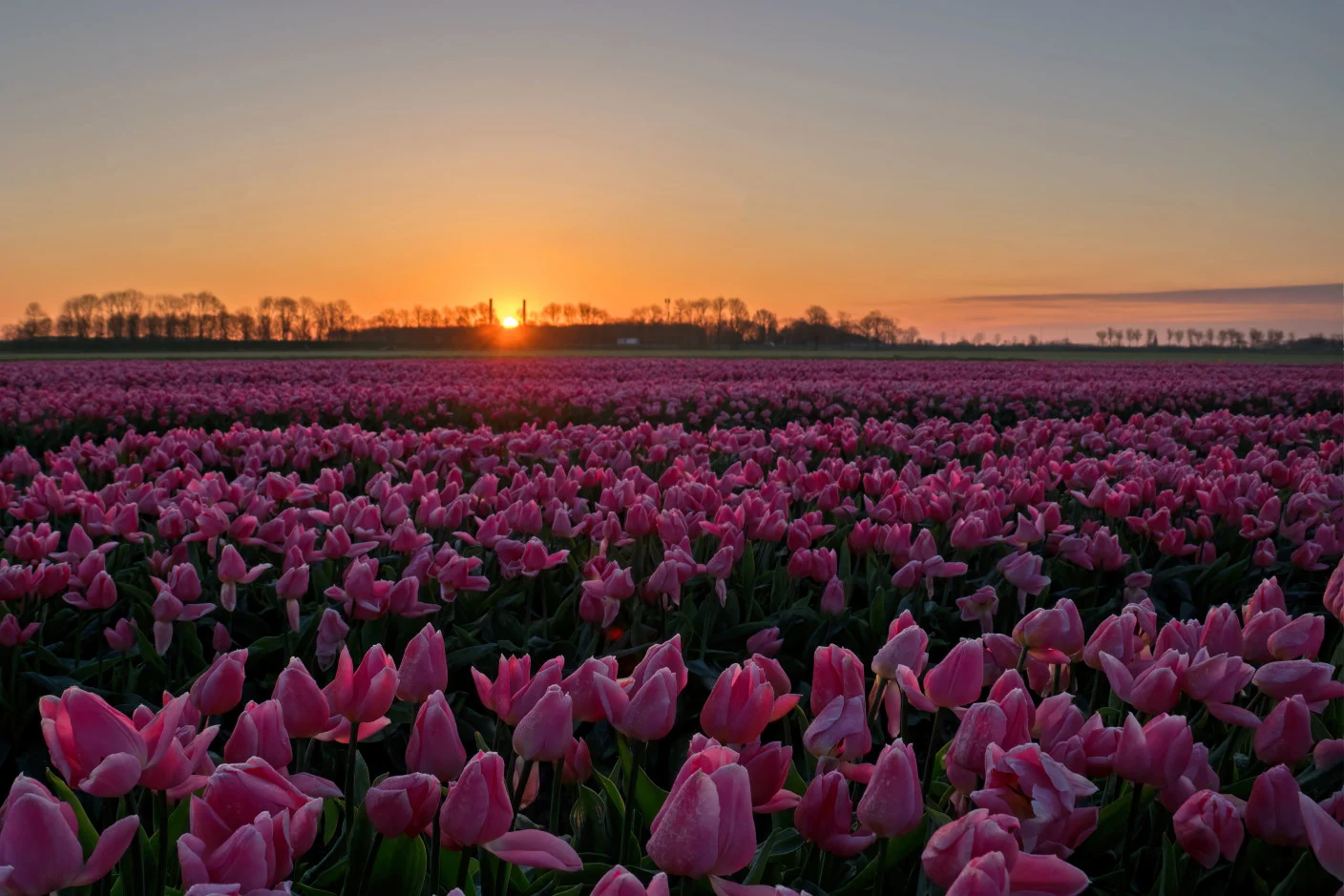 Mooie voorjaarsdag in het verschiet met flink wat zon