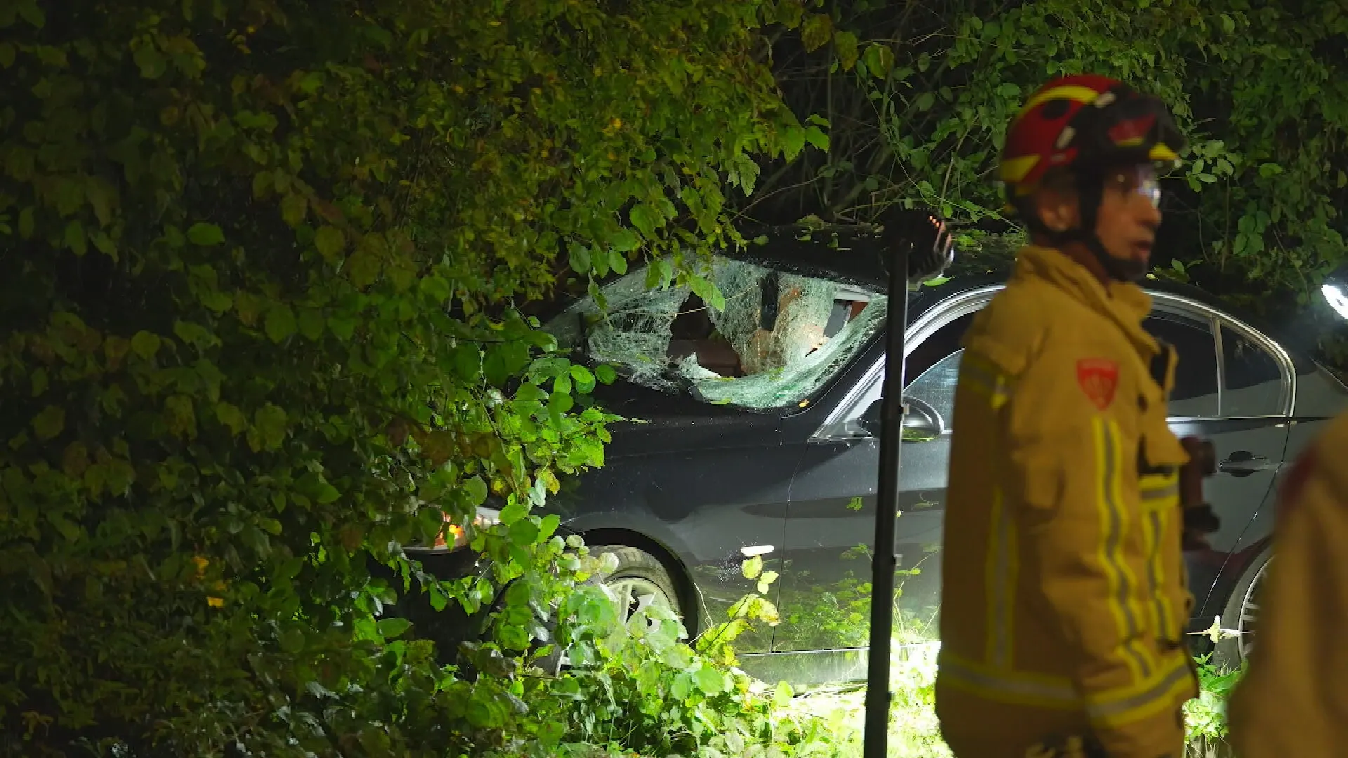 Man springt van viaduct en valt door voorruit auto op schoot bestuurder