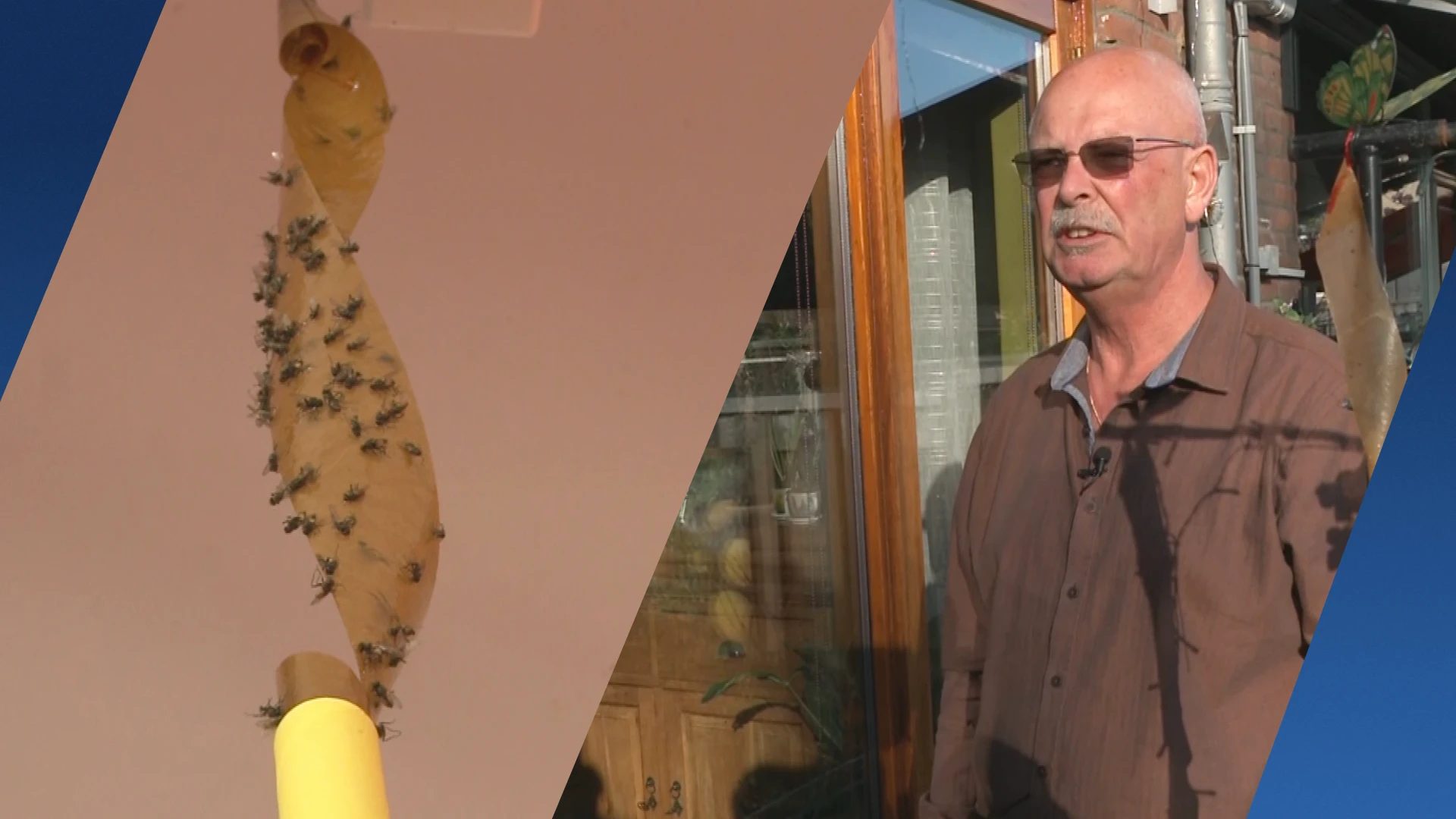 Rotterdamse wijk al jaren geteisterd door vliegenplaag: ‘Buiten zitten kan niet meer'