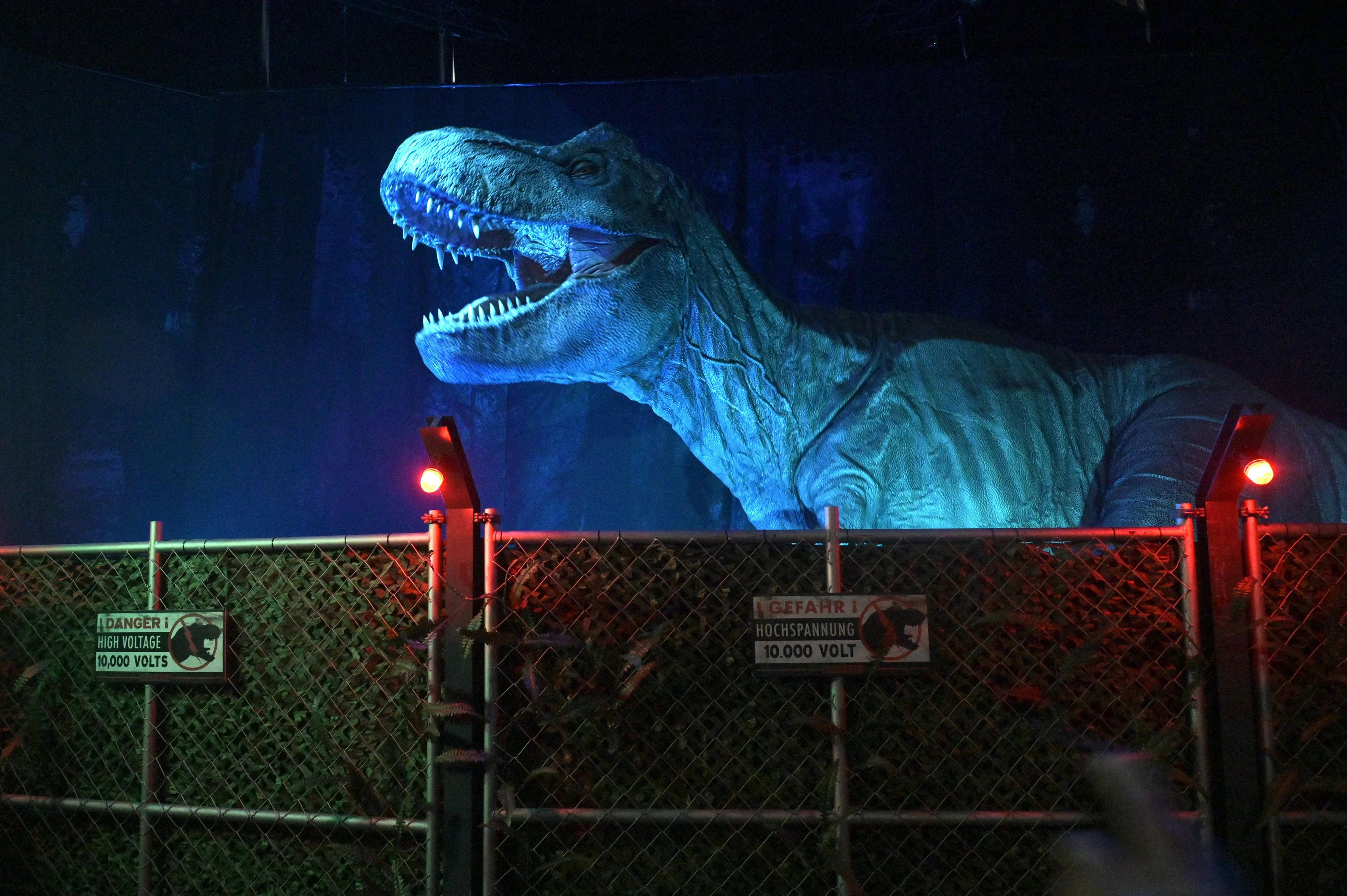 Onderzoek: tyrannosaurus was gek op drumsticks