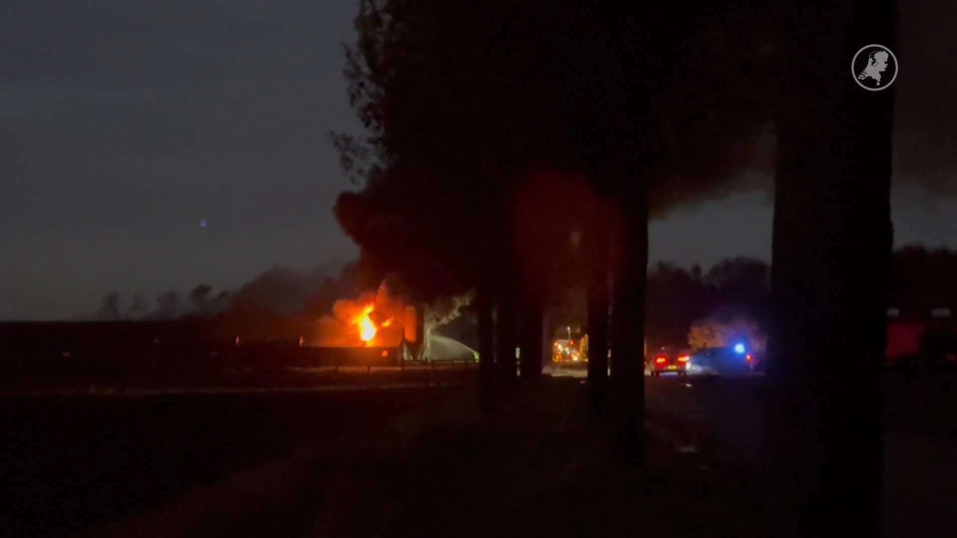 Honderden varkens omgekomen bij stalbrand in Susteren