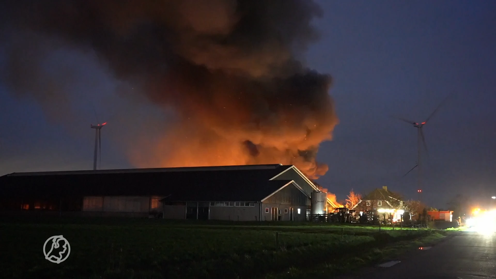 Grote brand in schuur in Terheijden, twintig koeien overleden