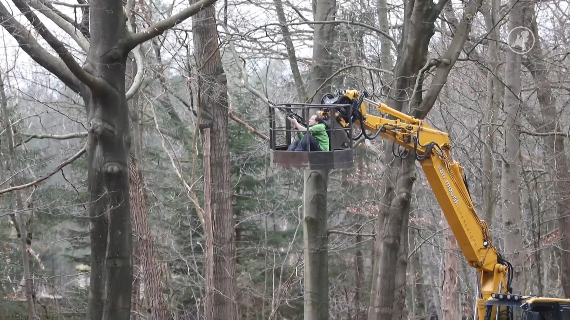 Drie apen ontsnapt uit Apenheul