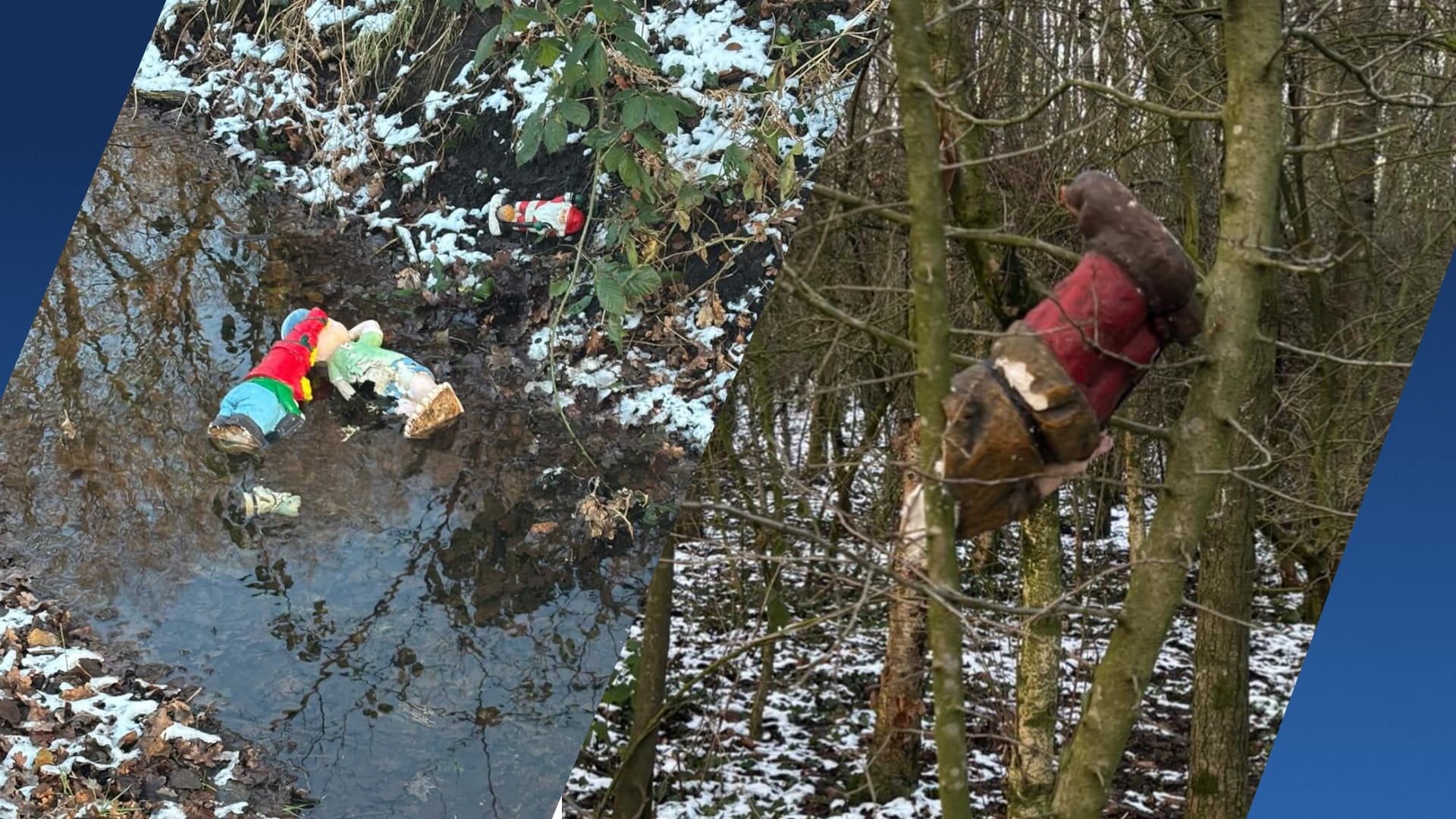 Kabouterbos in Rossum vernield: kabouters kapot en in beek gegooid