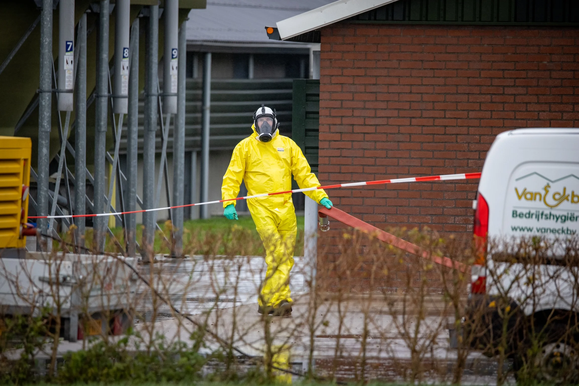 Vogelgriep ontdekt op bedrijf in Witmarsum: 90.000 vleeskuikens geruimd