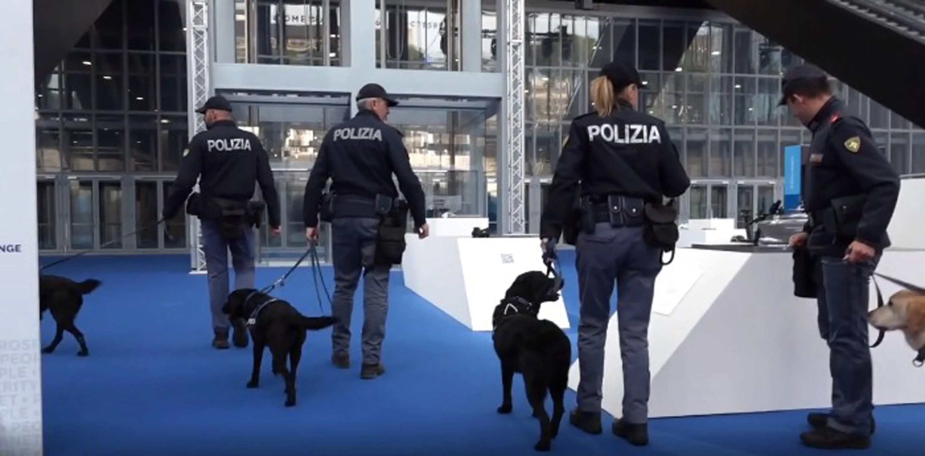 Nederlandse vrouwen slachtoffer van seksueel geweld, klopjacht op dader