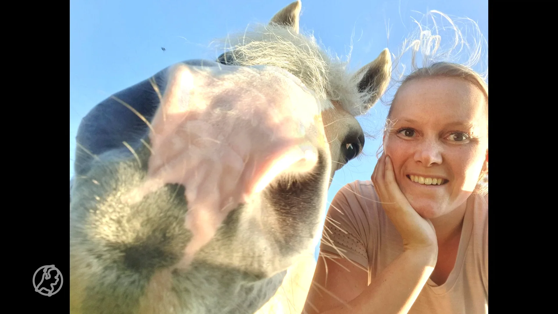 Anouk verloor paard Diore bij stalbrand in Zeewolde: 'Echt een ramp'
