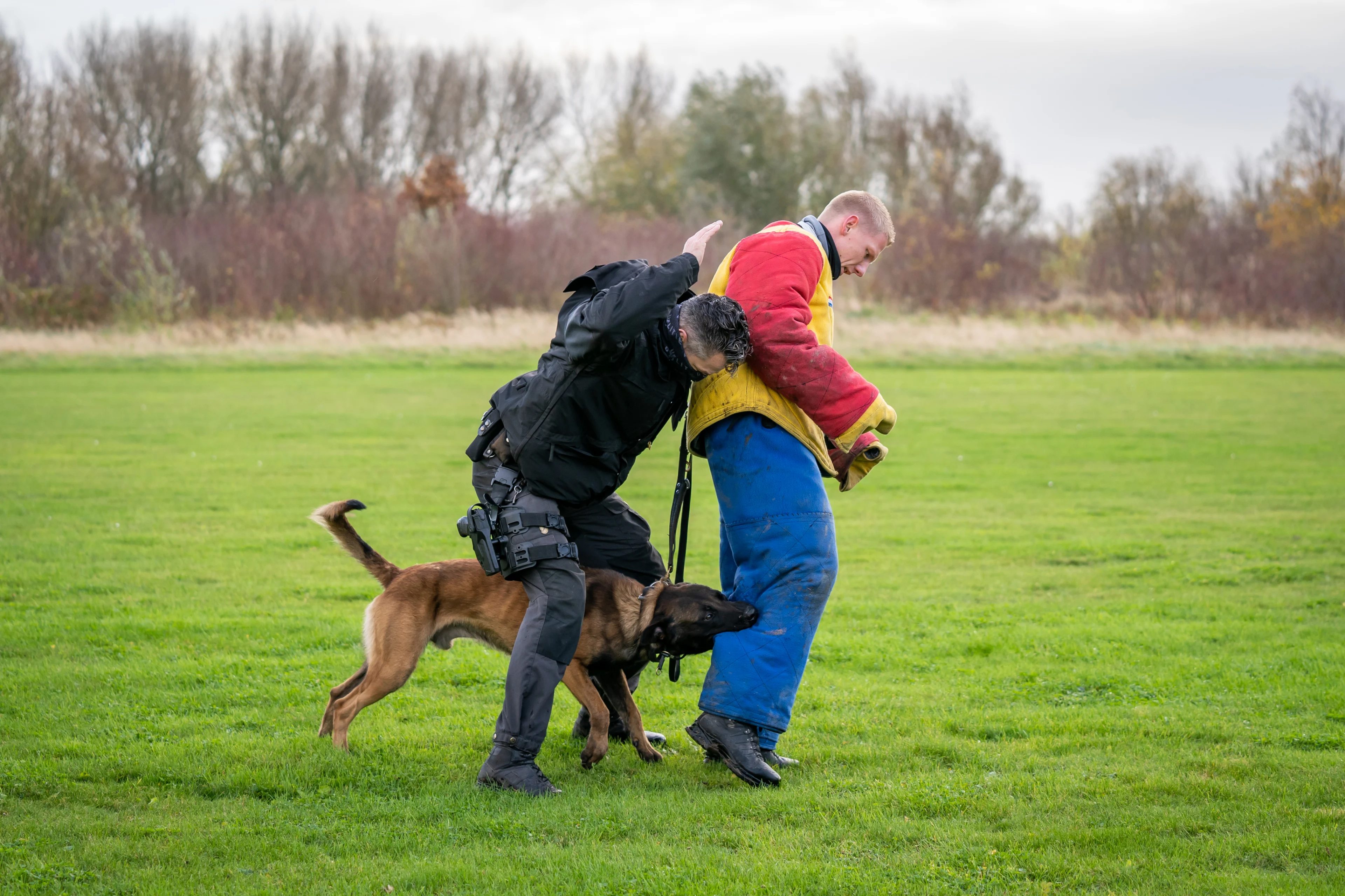 Minister Schouten keurt verbod stroomstootapparaten bij honden goed