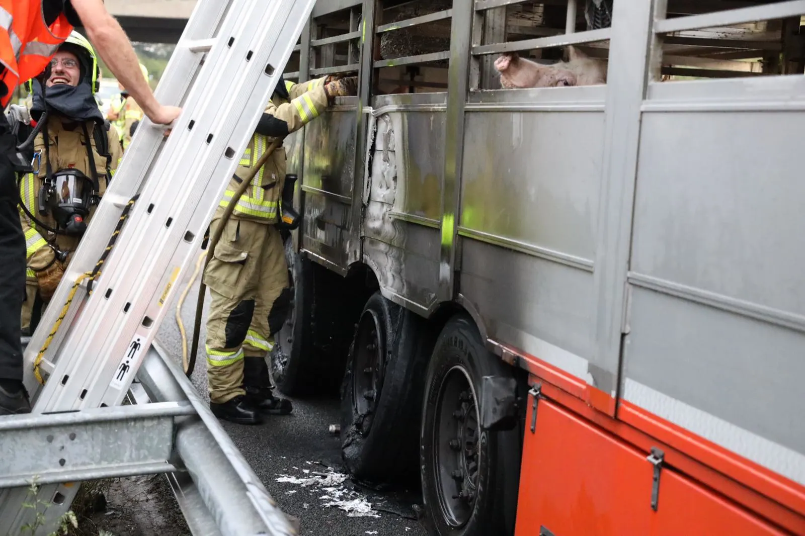 Vrachtwagen vol varkens vliegt midden op de A50 in brand, meerdere dieren overleden