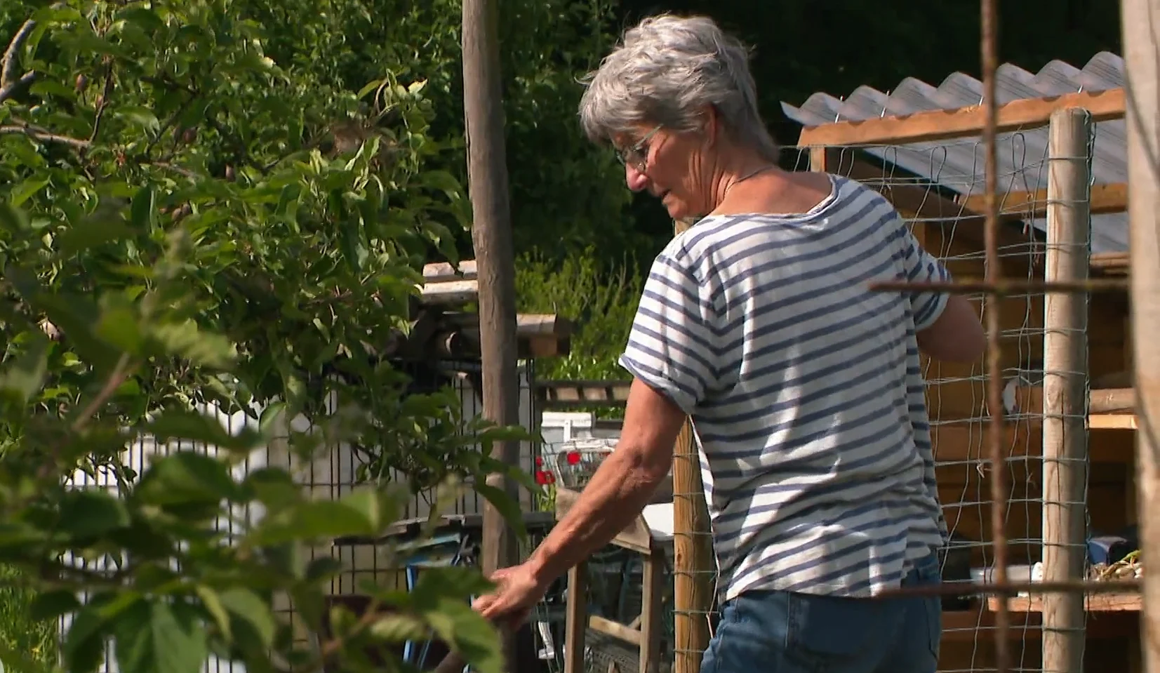 Vraag naar volkstuintjes groeit als kool: 'Duizenden mensen op de wachtlijst'