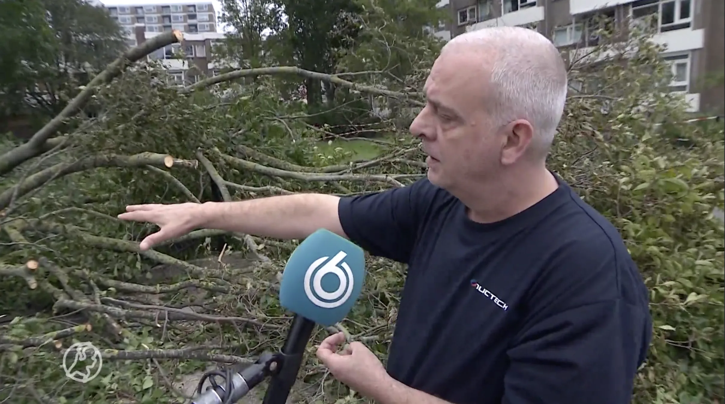 Buurtbewoners redden vrouw onder omgevallen boom in Den Haag: 'Ze heeft enorm veel geluk gehad'