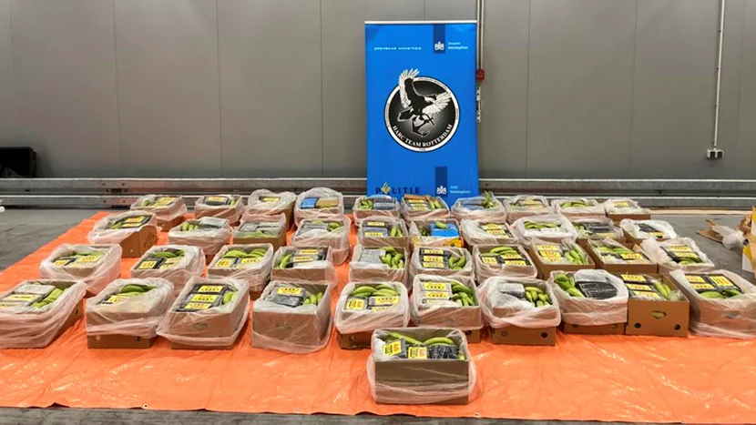 Douane Rotterdam vindt 700 kilo cocaïne tussen bananen 