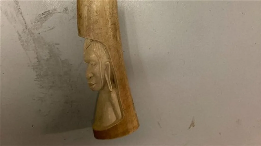 Slagtanden en tasjes van reptielenleer: inleverpunt Den Haag had het nog nooit zo druk