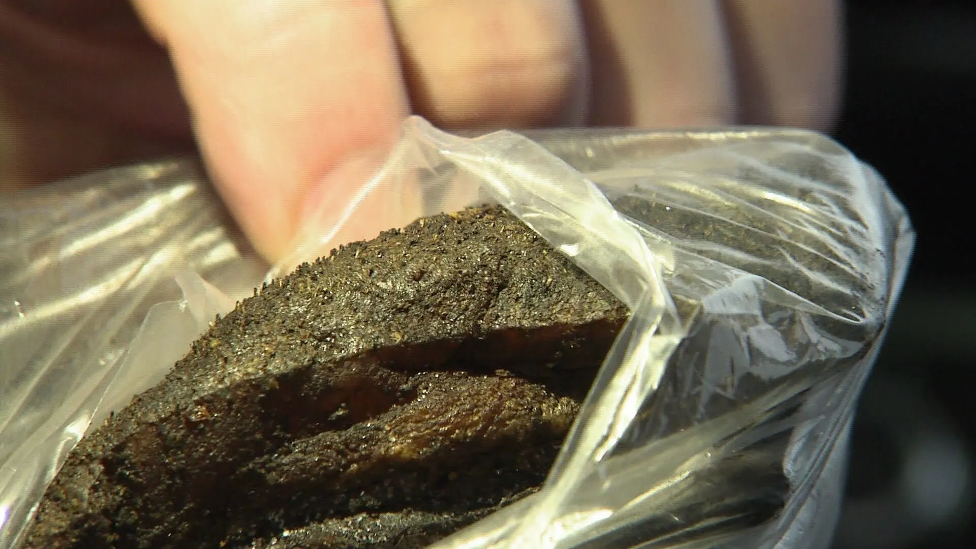 Verboden en gevaarlijk Afrikaans oerwoudvlees 'gewoon' te koop in Nederland