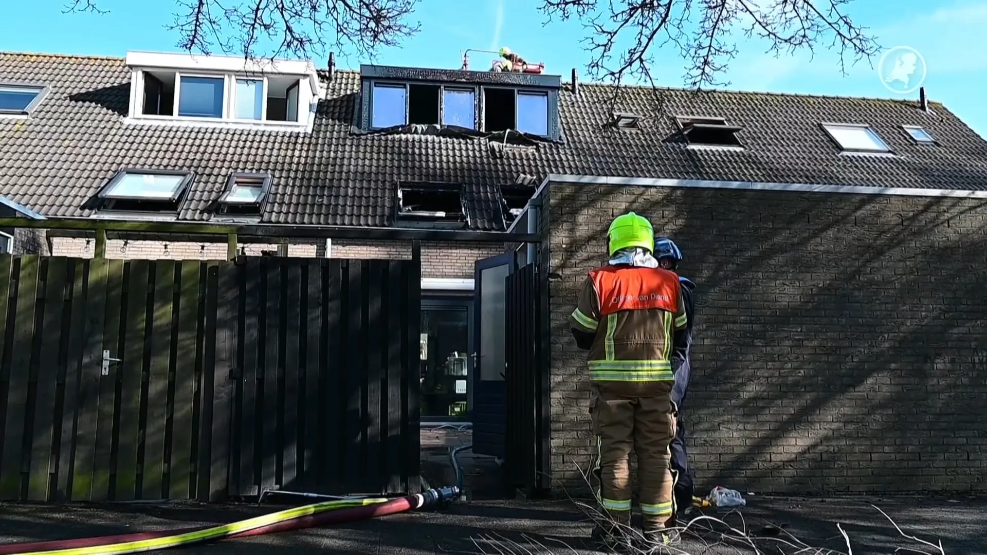 Kat dood door woningbrand in Hoogvliet