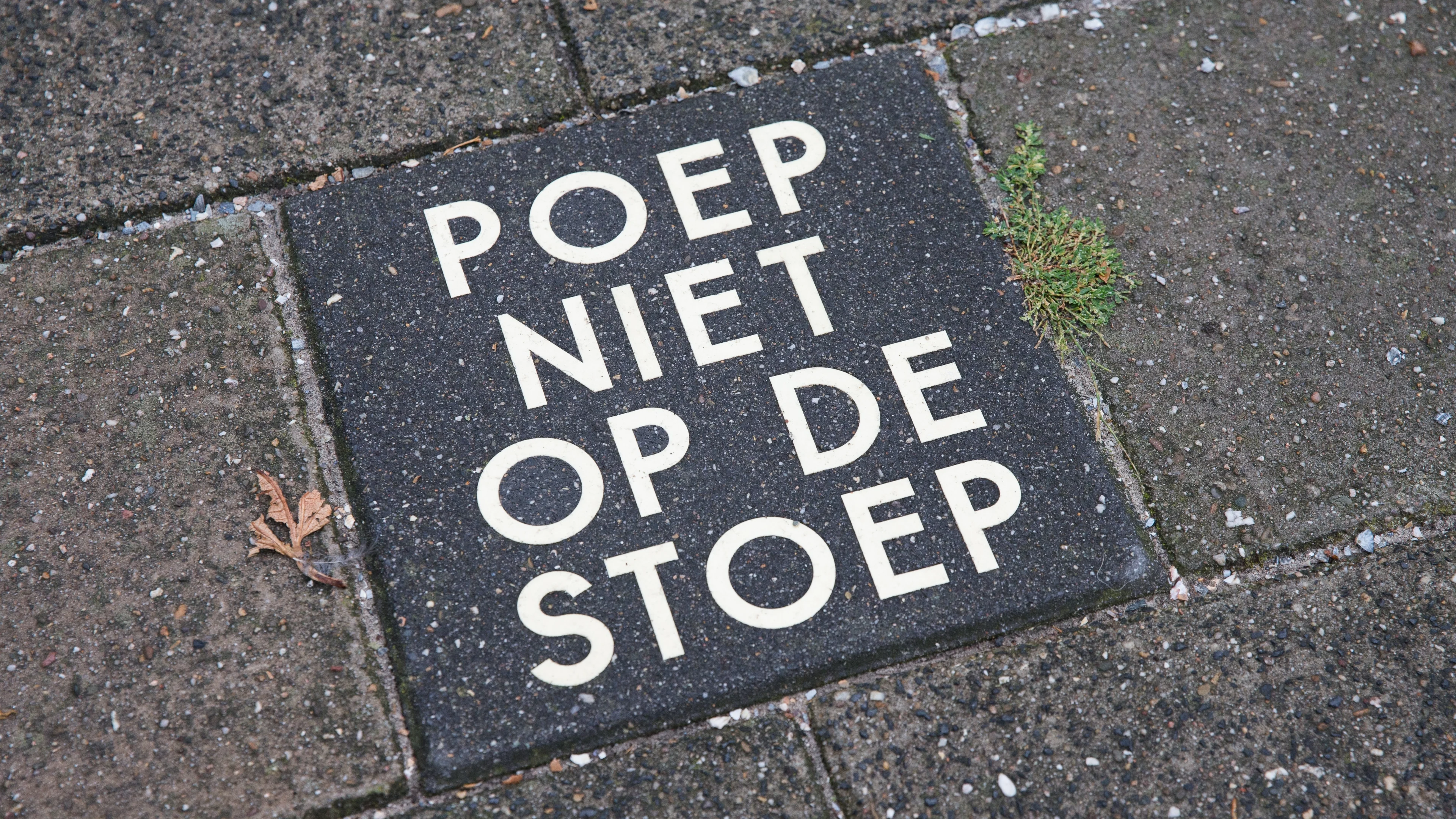 Poep, plas en naaktlopen: SP Oss trekt aan de bel om overlast