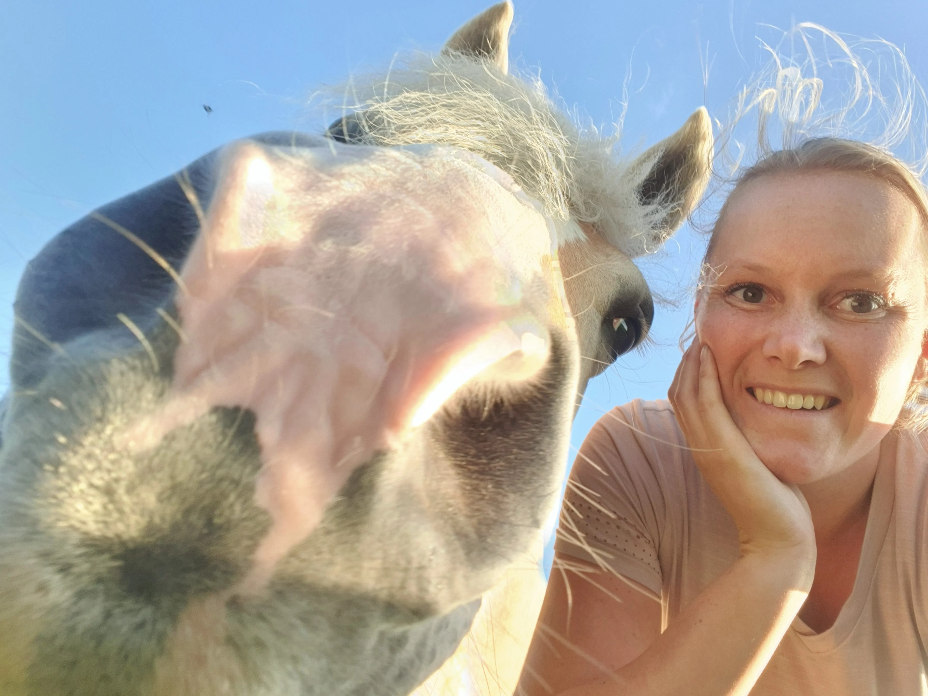 Inzamelactie voor 'trouwe vriendjes' stalbrand Zeewolde: baasjes in rouw om overleden paarden