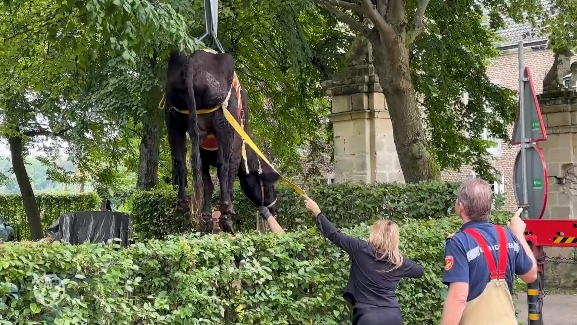 Opluchting na redding van Archibald (17): zat ruim een uur vast in sloot