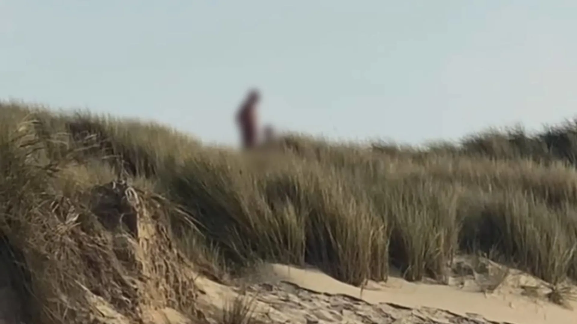 Vrouwenpolder stelt seksverbod in vanwege vele vrijende mensen in duinen bij naaktstrand