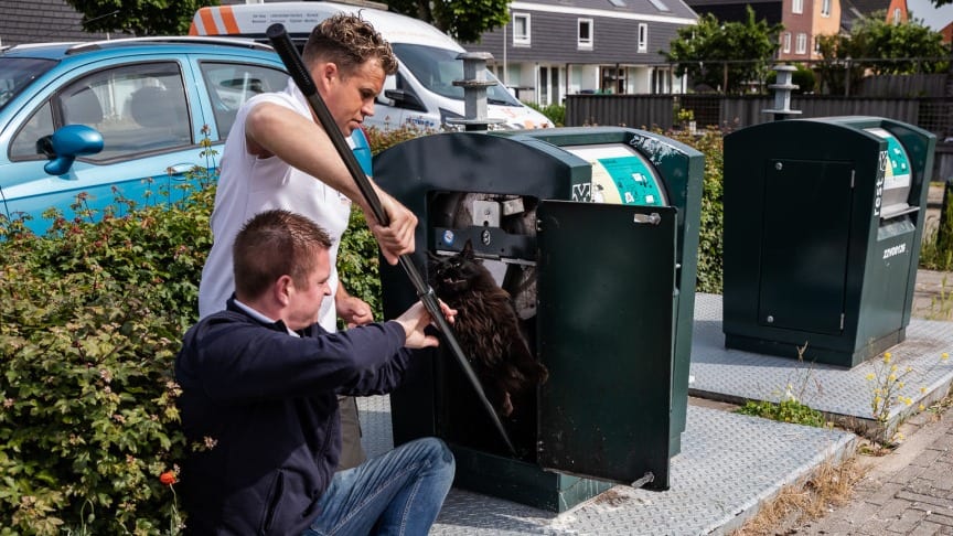 Kat zit vast in ondergrondse afvalcontainer, dierenambulance schiet te hulp
