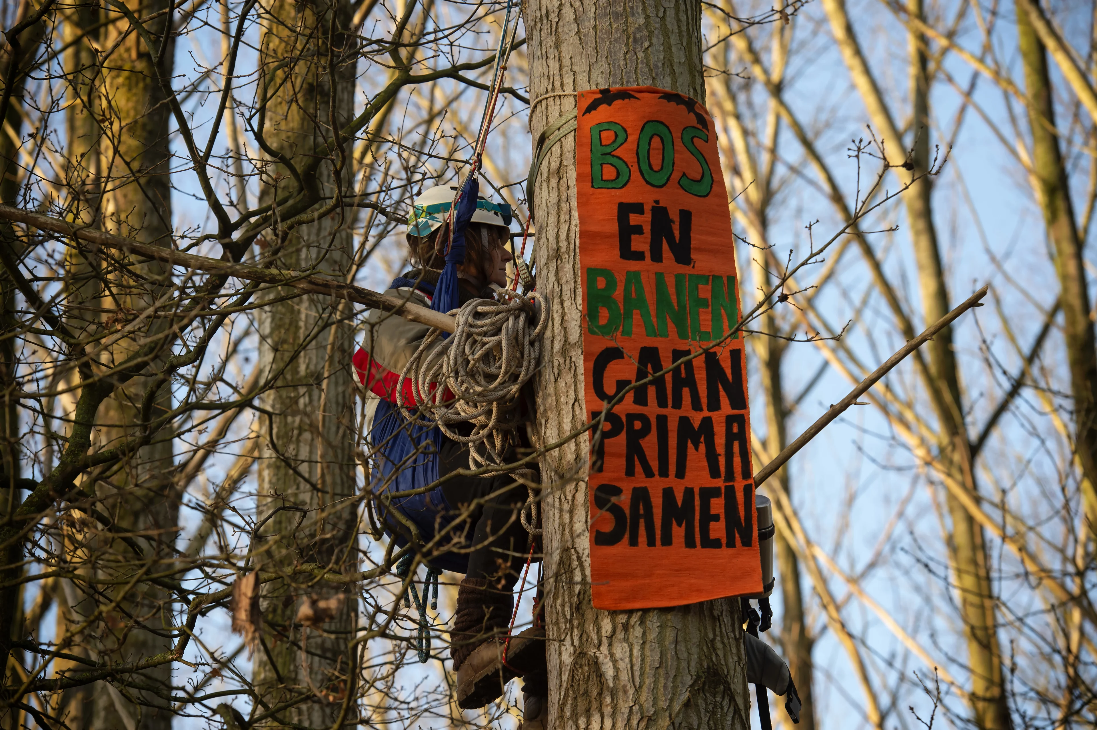 Rustige nacht in Sterrebos na zeven arrestaties zaterdagavond