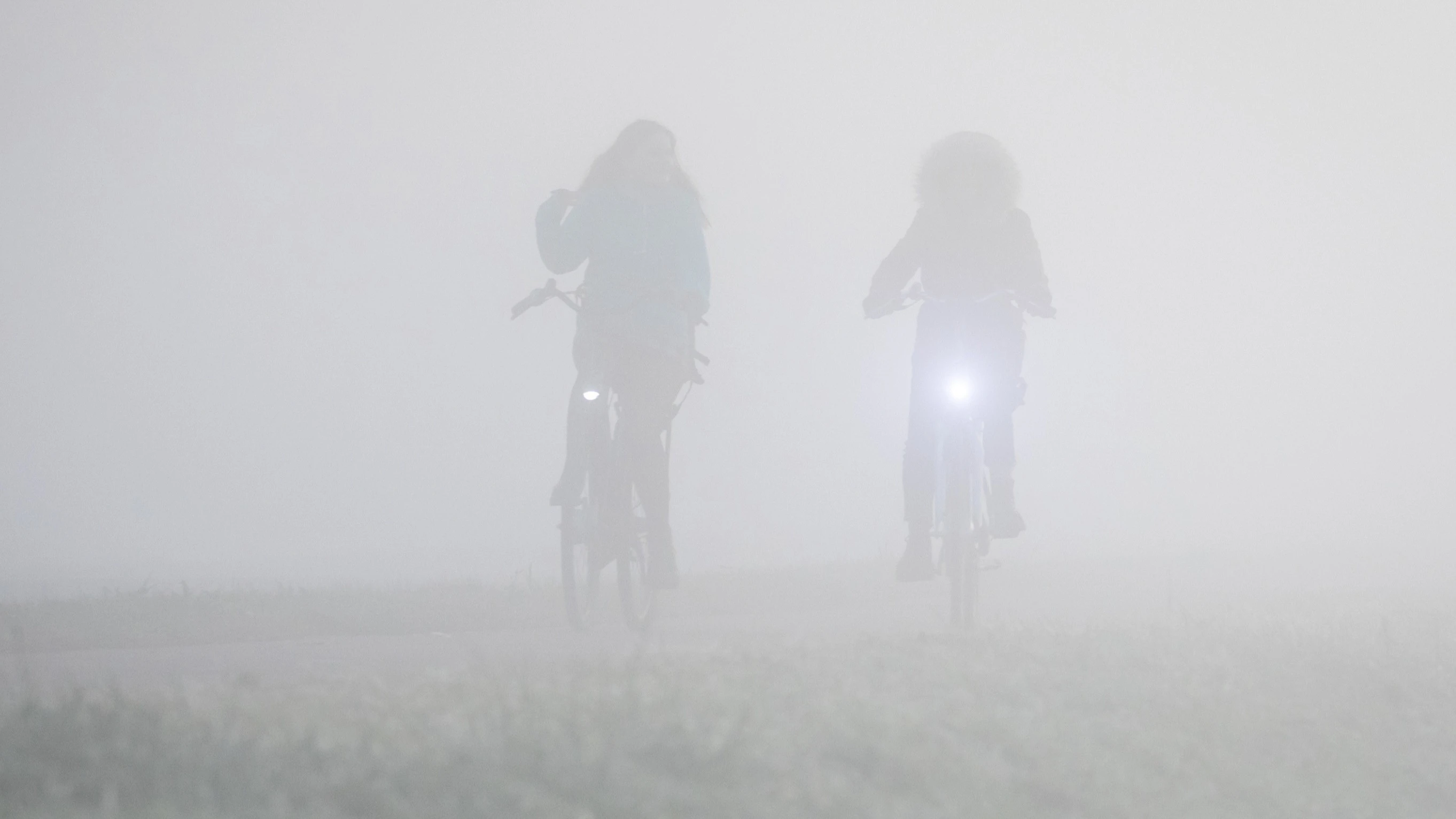 Komende dagen grijs, koud en dikke mist: 'Verkeersbelemmerend'