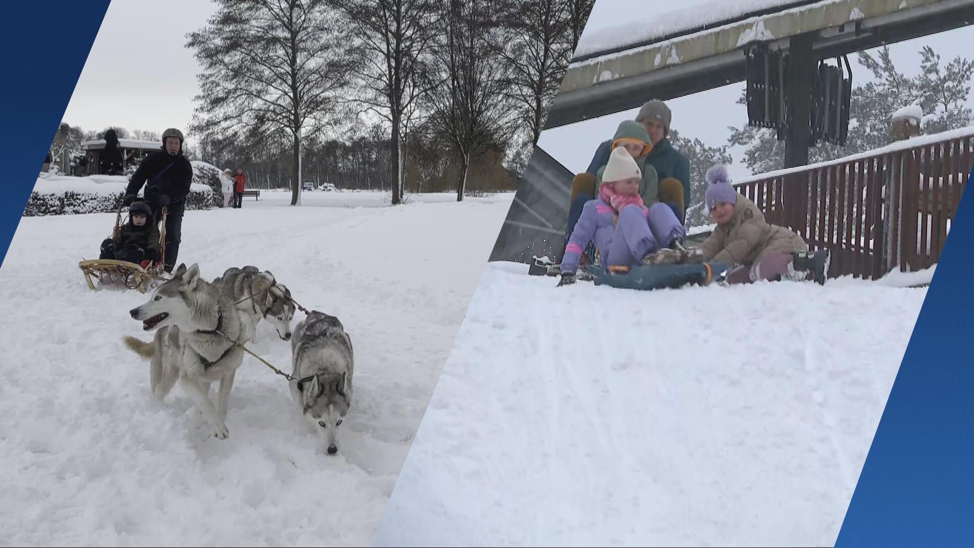 Sleeën, husky’s en snowkiten: zo geniet Nederland van de sneeuw