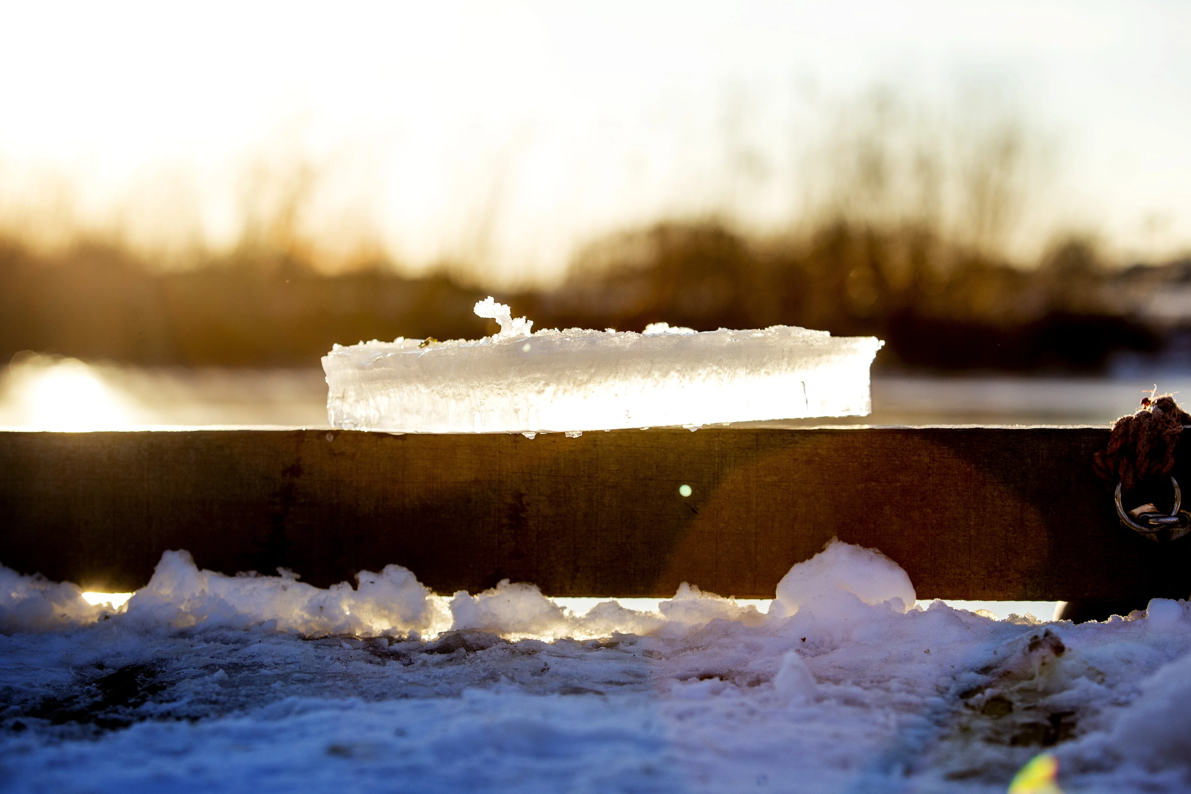 ZIEN: Bijzondere dronebeelden van redding honden uit wak