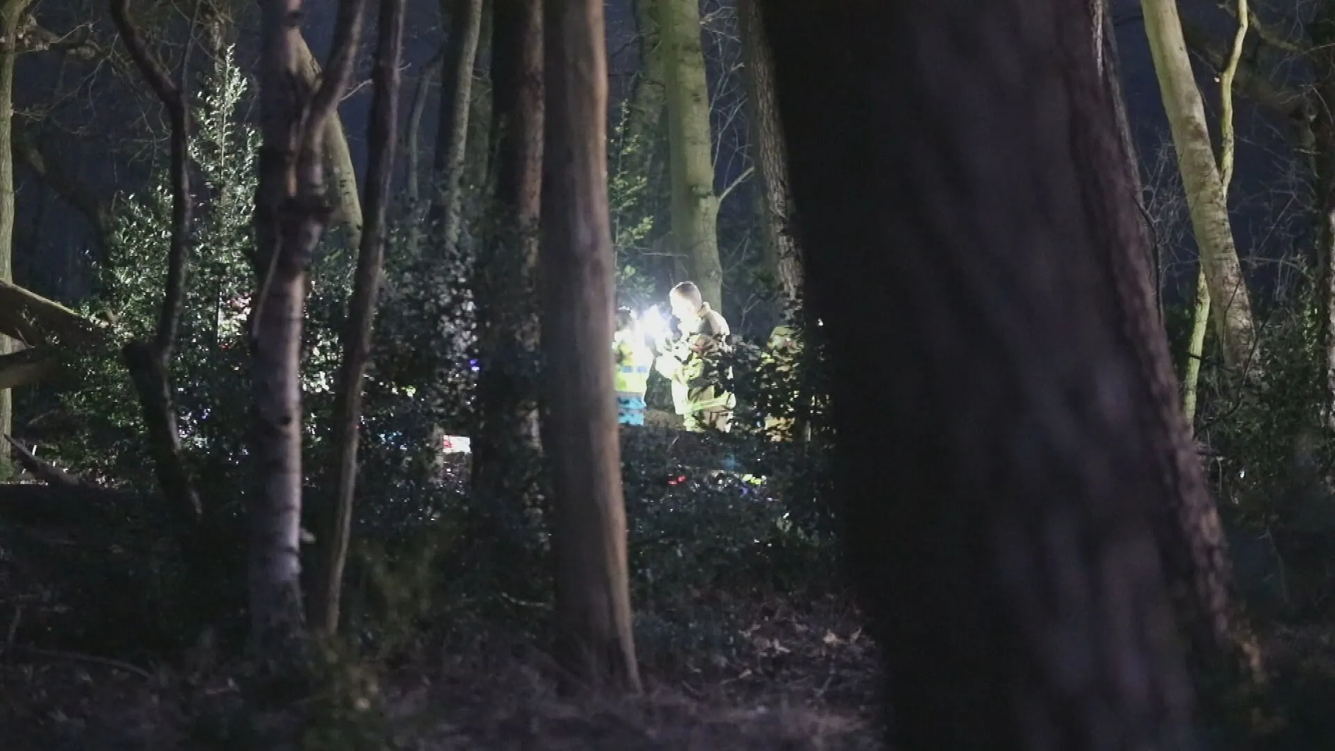 Man uit Schijf overleden nadat boom op hem is gevallen