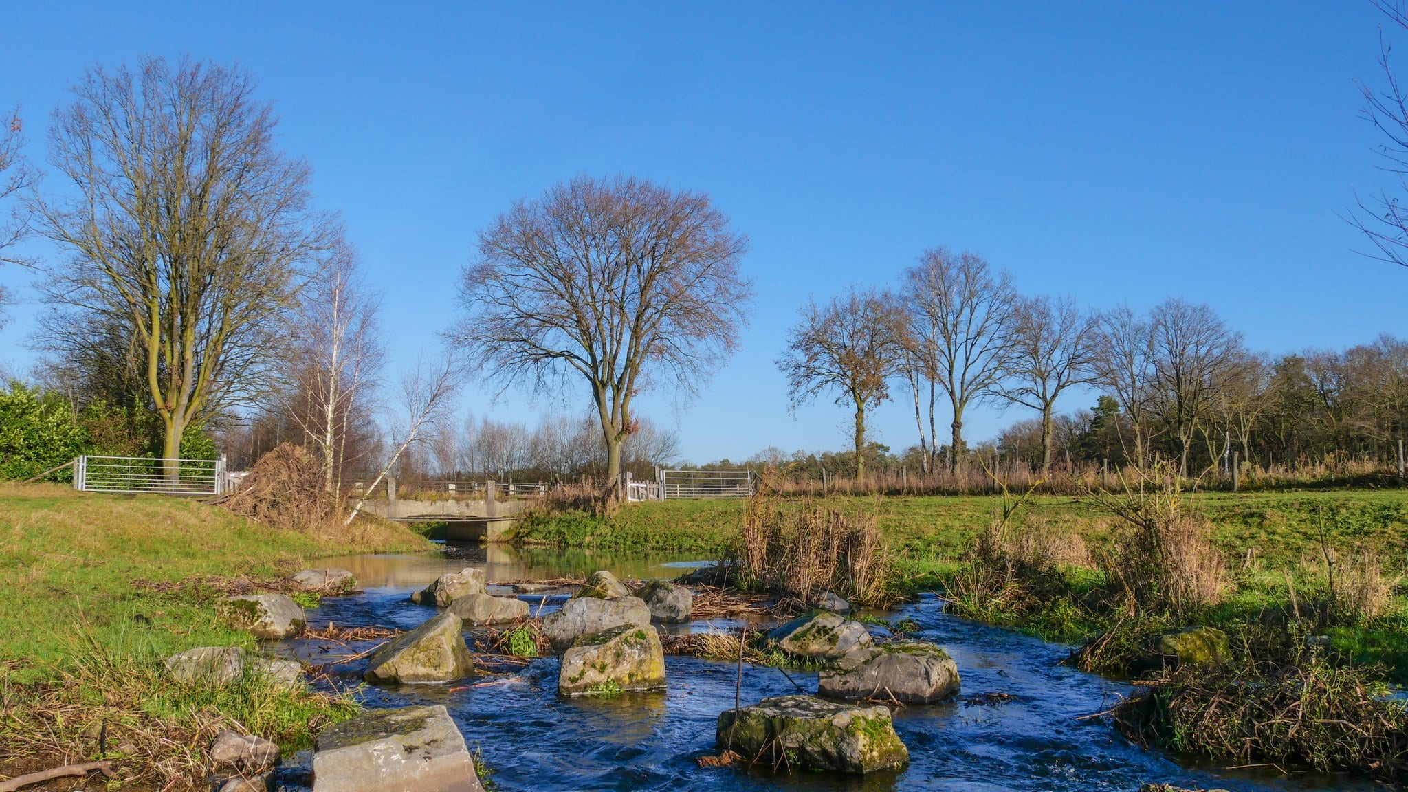 Op de grens van koud en zachter weer