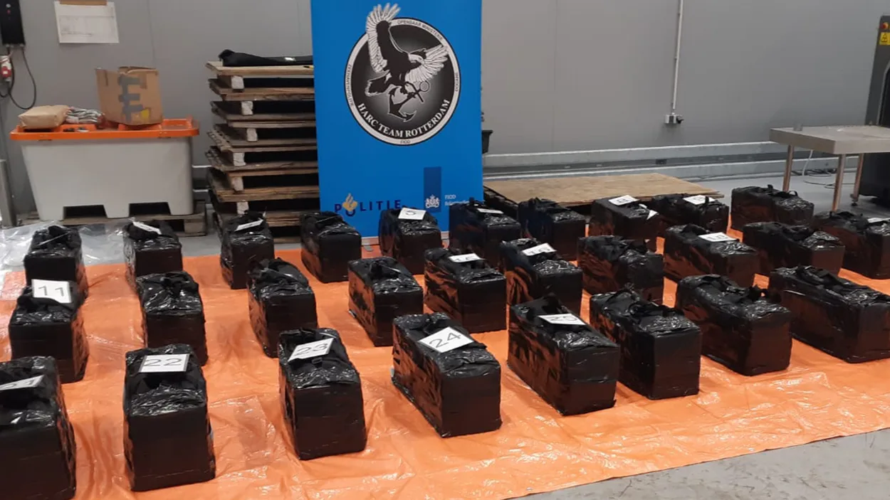 1069 kilo cocaïne gevonden tussen bier en Volkswagen busjes in de Rotterdamse haven