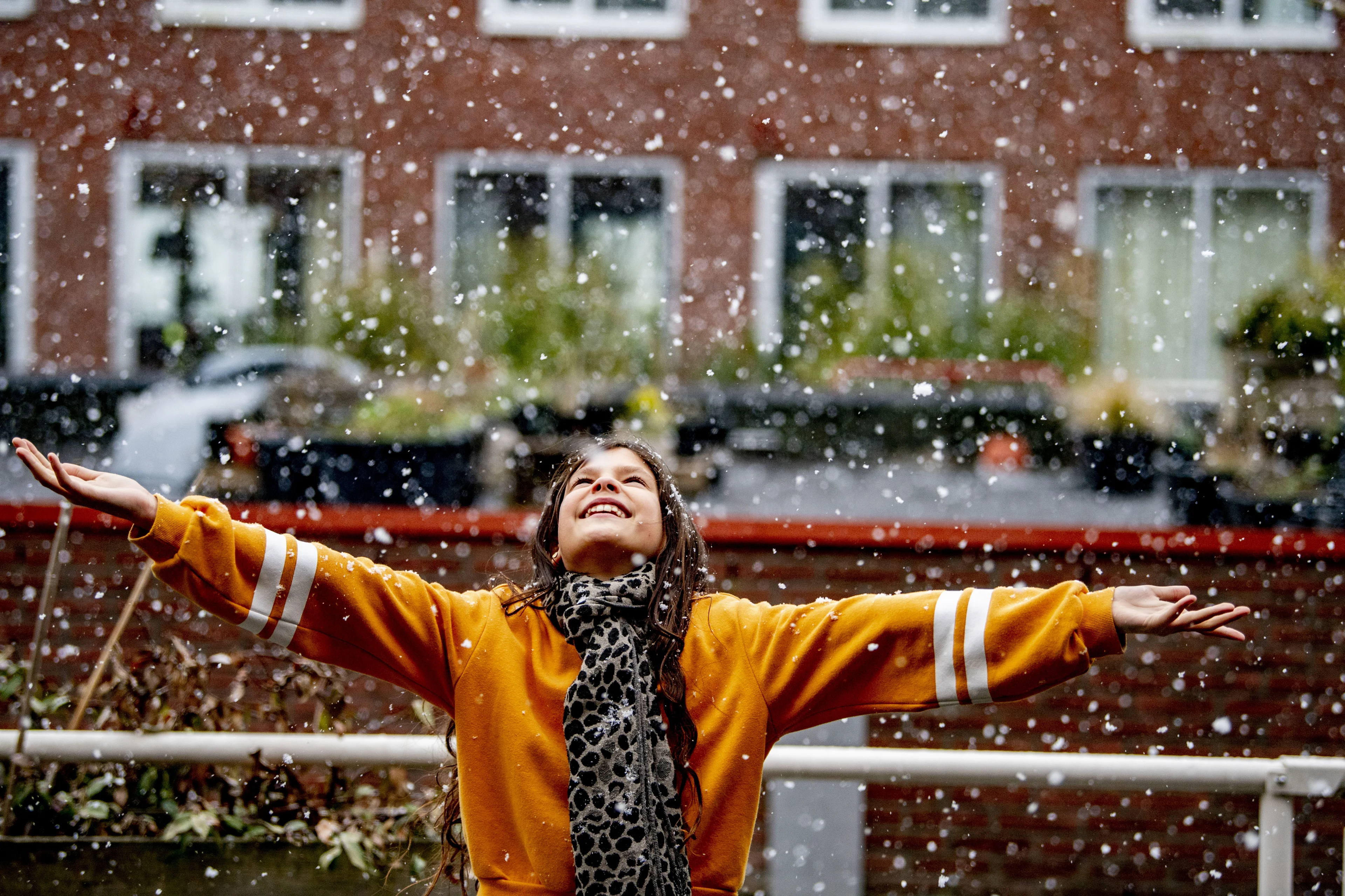 Koning Winter keert terug: fors kouder en kans op winterse neerslag