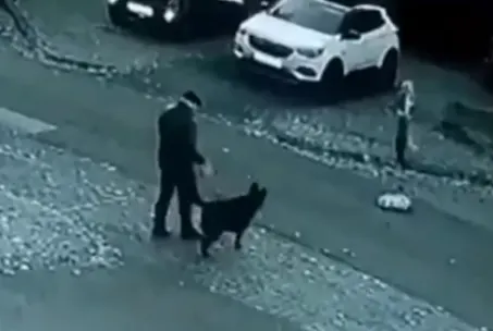 VIDEO: Meisje (7) ziet hoe hondje voor haar ogen wordt doodgereden, bestuurder rijdt door