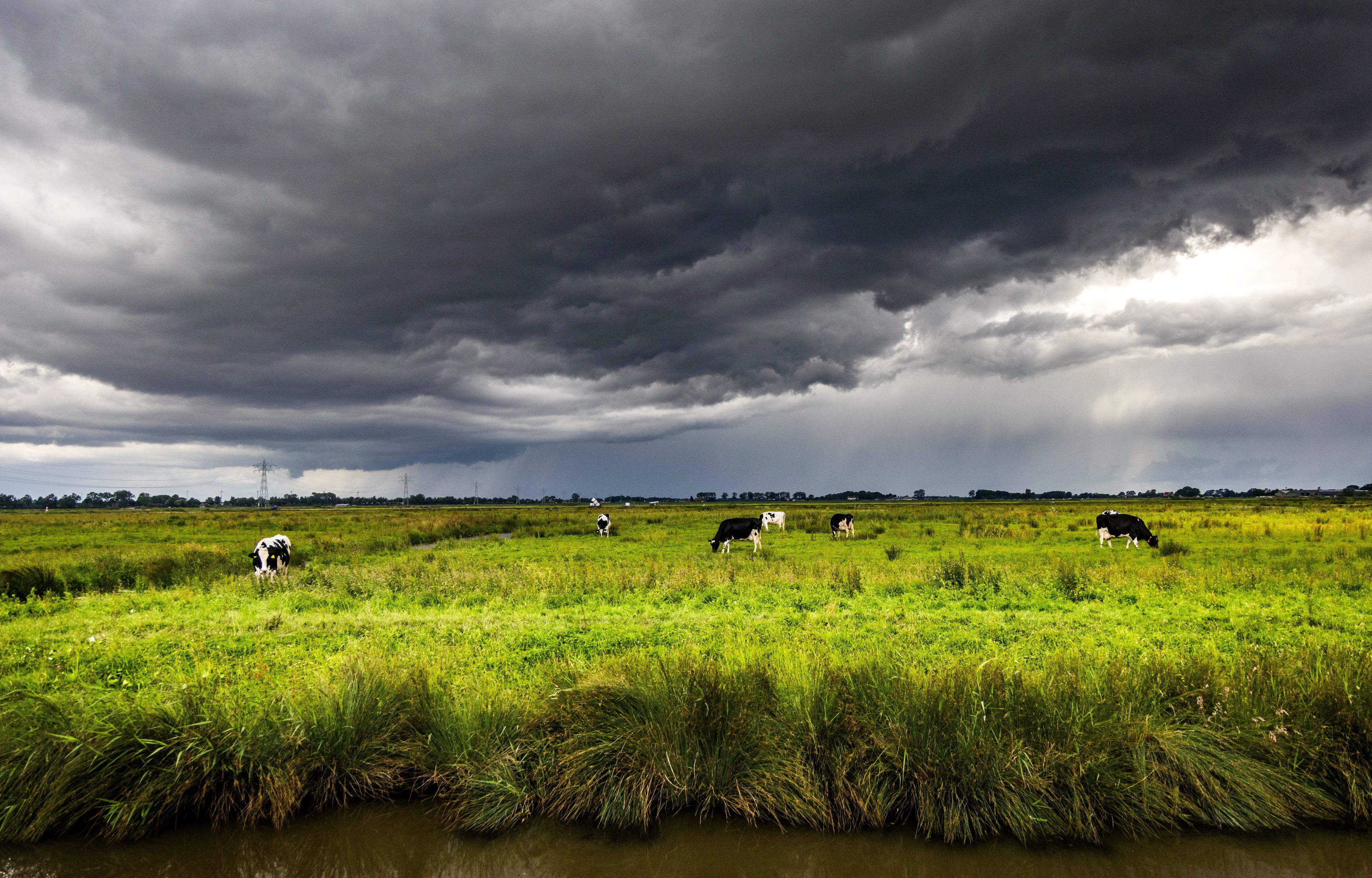 Vrijdag eerst zon, later meer bewolking en regen