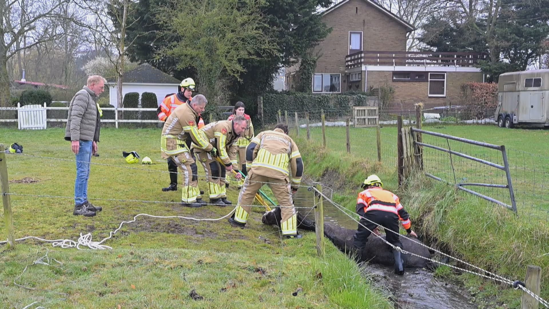 Paard door brandweer uit sloot gered in Castricum