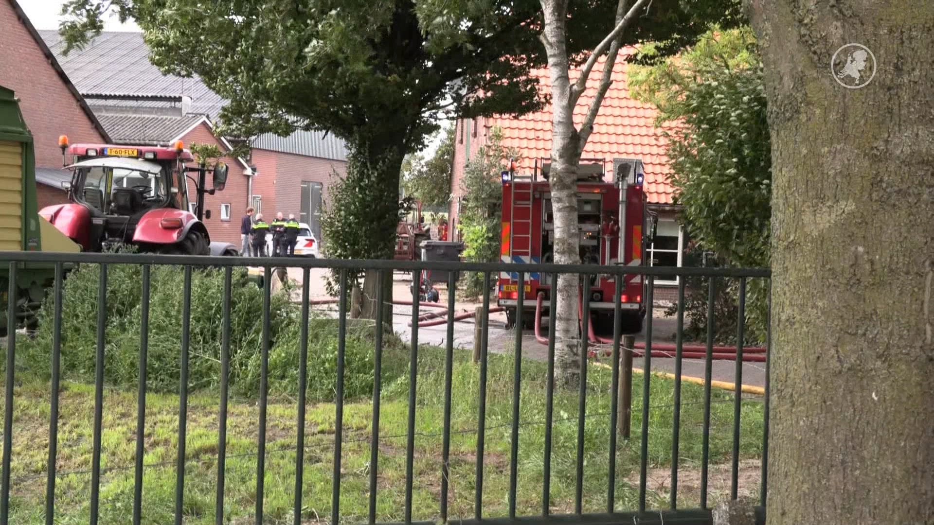 Hulp automobilisten komt te laat, kalfjes omgekomen na stalbrand in Eibergen