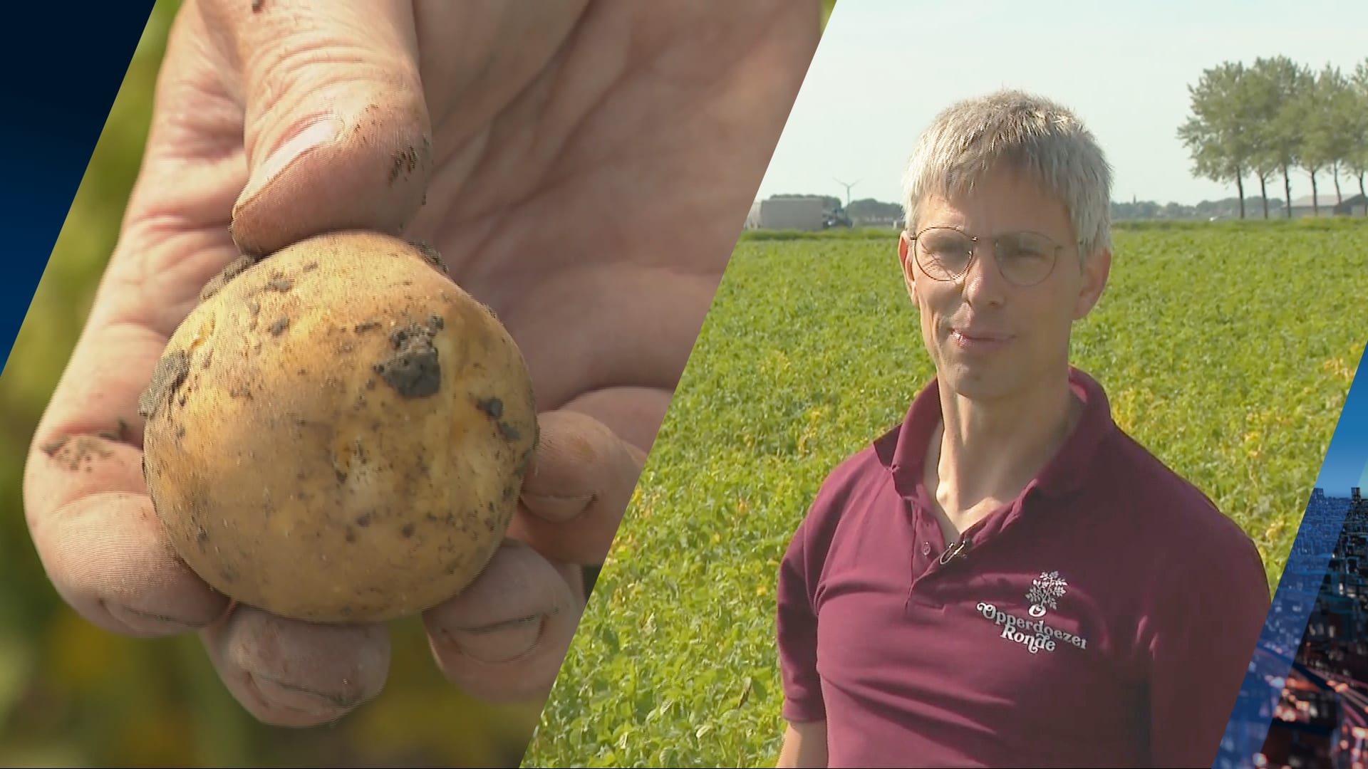 De Opperdoezer Ronde: het oogstseizoen in Opperdoes is begonnen